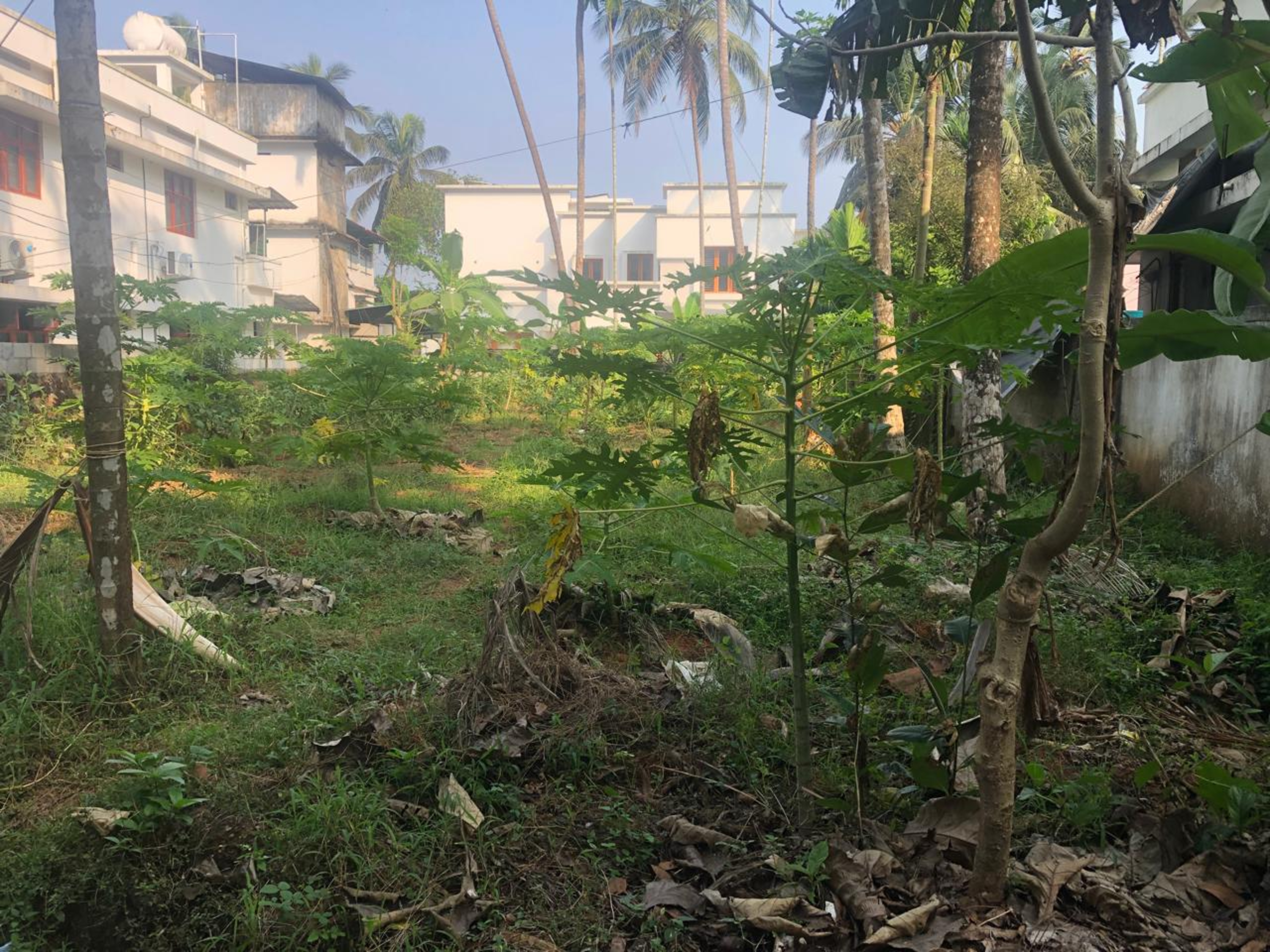 Punjab National Bank Auctions for Residential property in Kozhikode, Kerala image 3 of 7 in Chelannur, Kozhikode | Punjab National Bank auction property