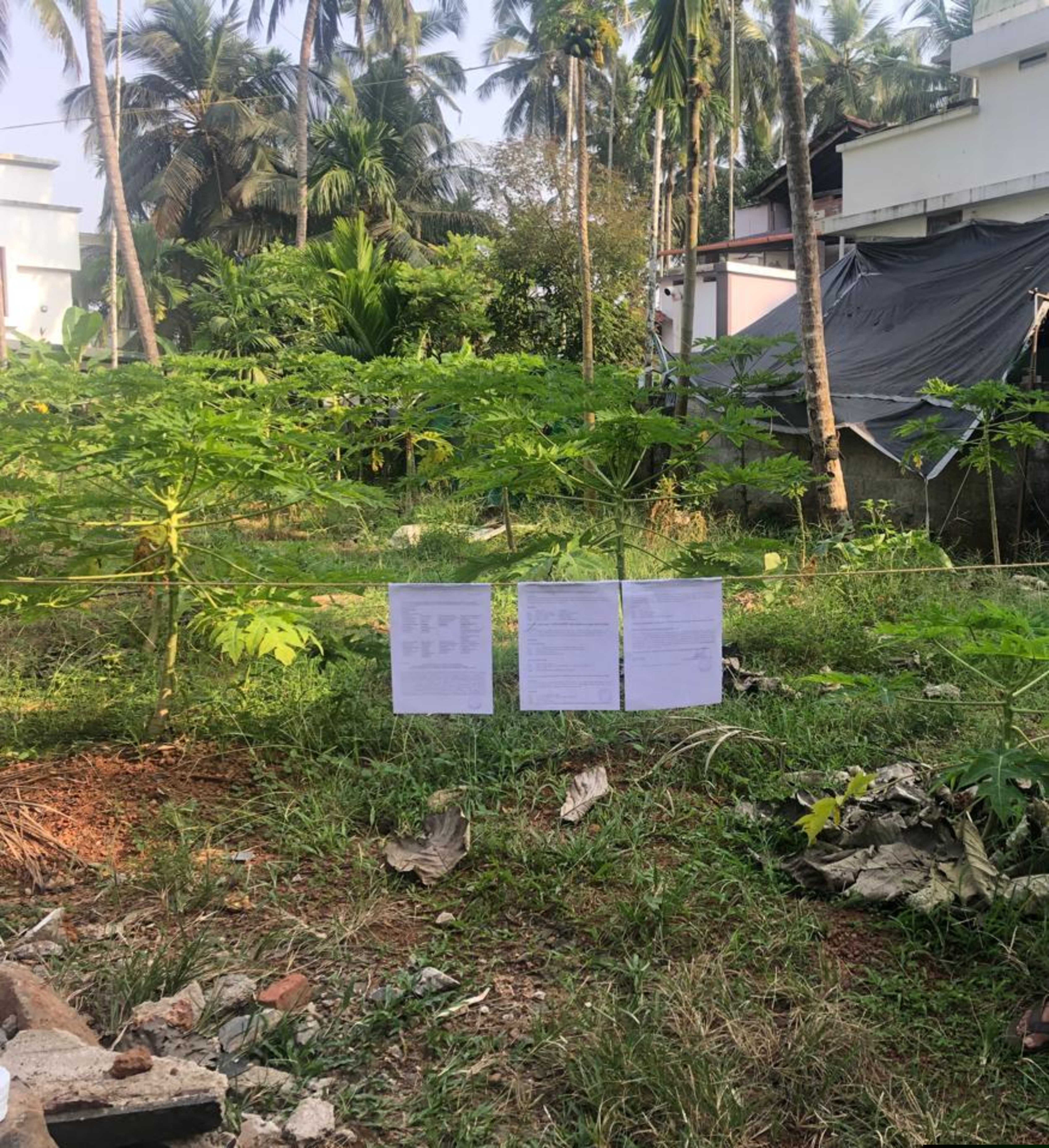Punjab National Bank Auctions for Residential property in Kozhikode, Kerala image 5 of 7 in Chelannur, Kozhikode | Punjab National Bank auction property