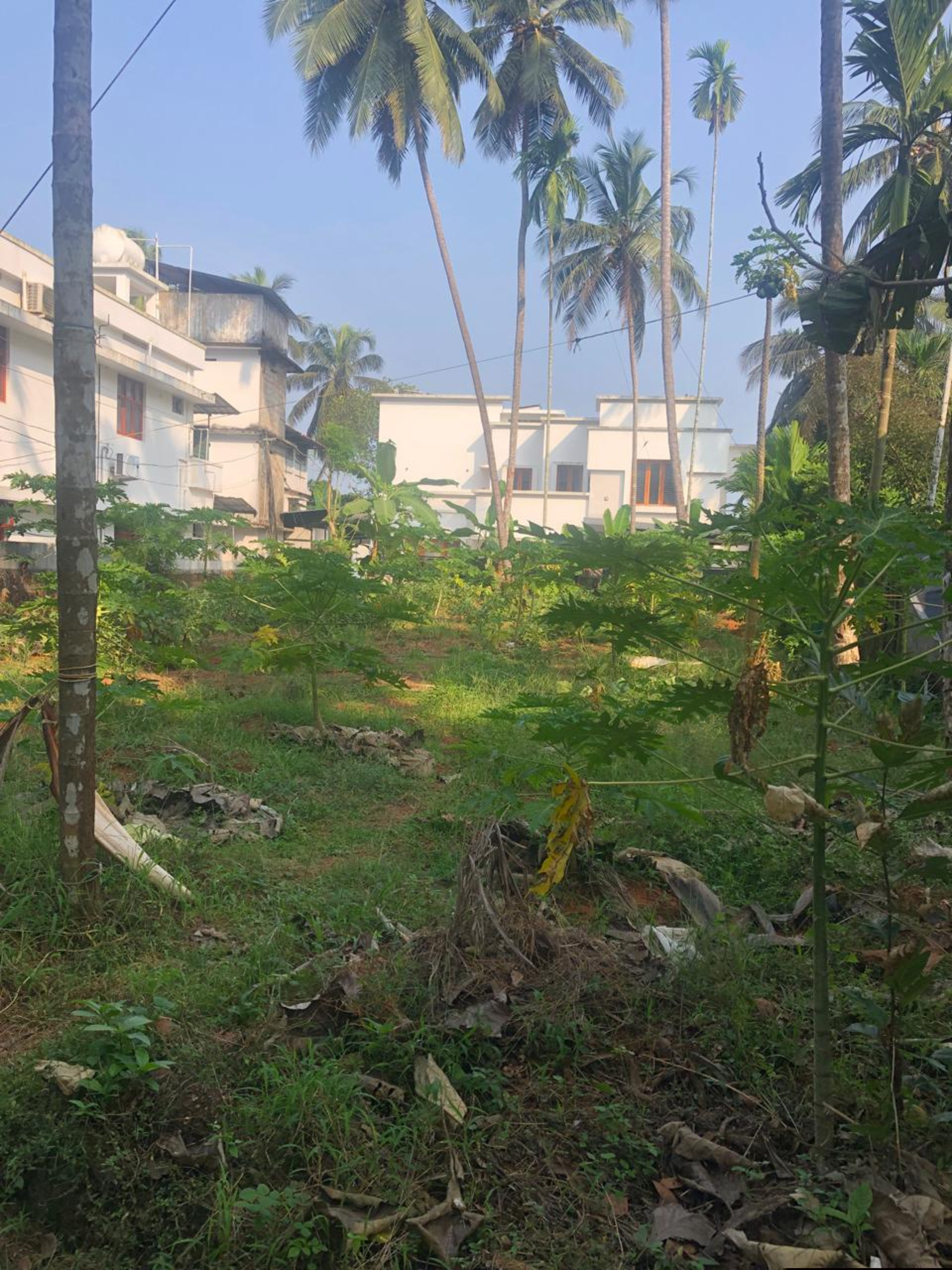 Punjab National Bank Auctions for Residential property in Kozhikode, Kerala image 6 of 7 in Chelannur, Kozhikode | Punjab National Bank auction property