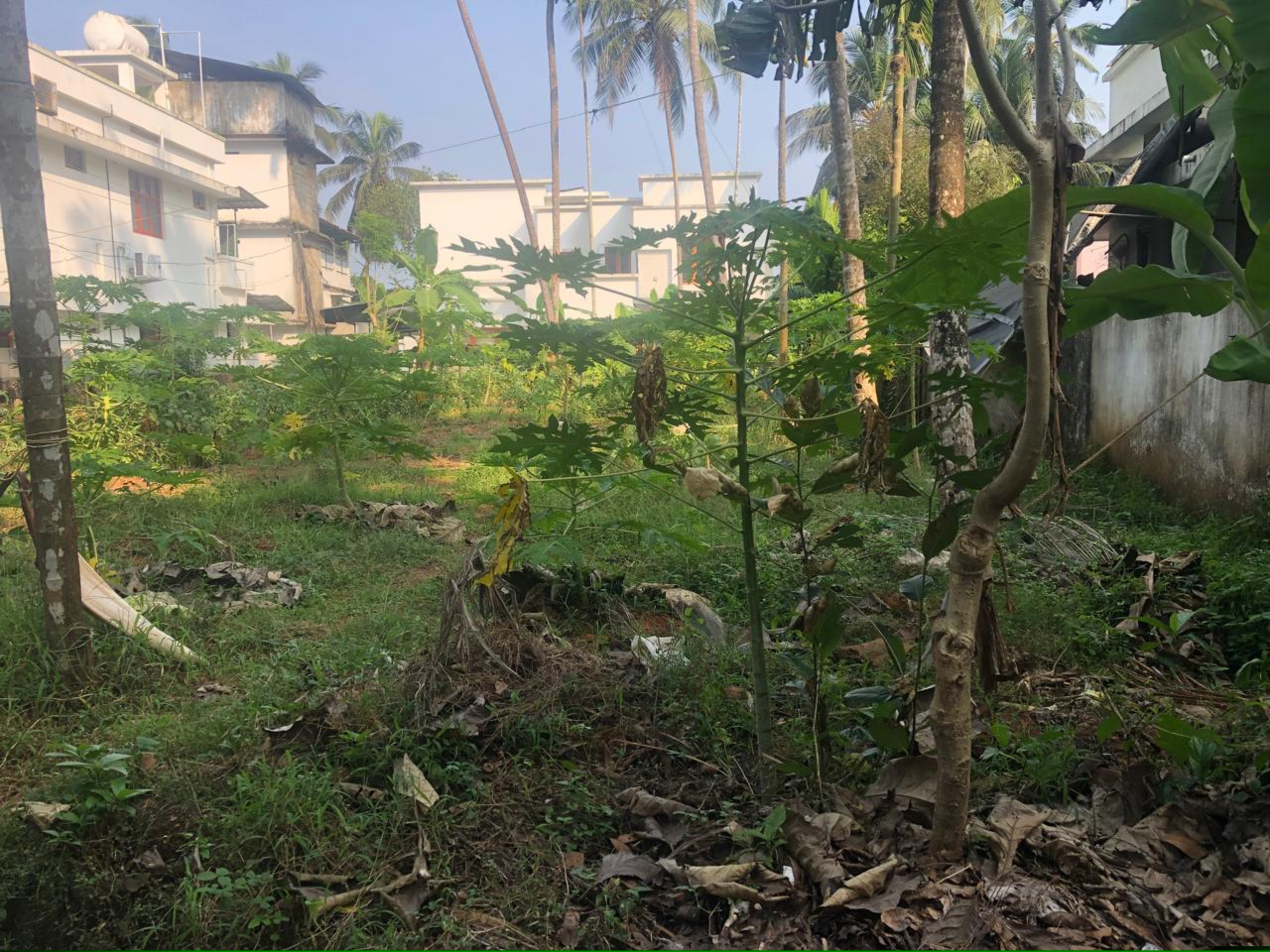Punjab National Bank Auctions for Residential property in Kozhikode, Kerala image 7 of 7 in Chelannur, Kozhikode | Punjab National Bank auction property