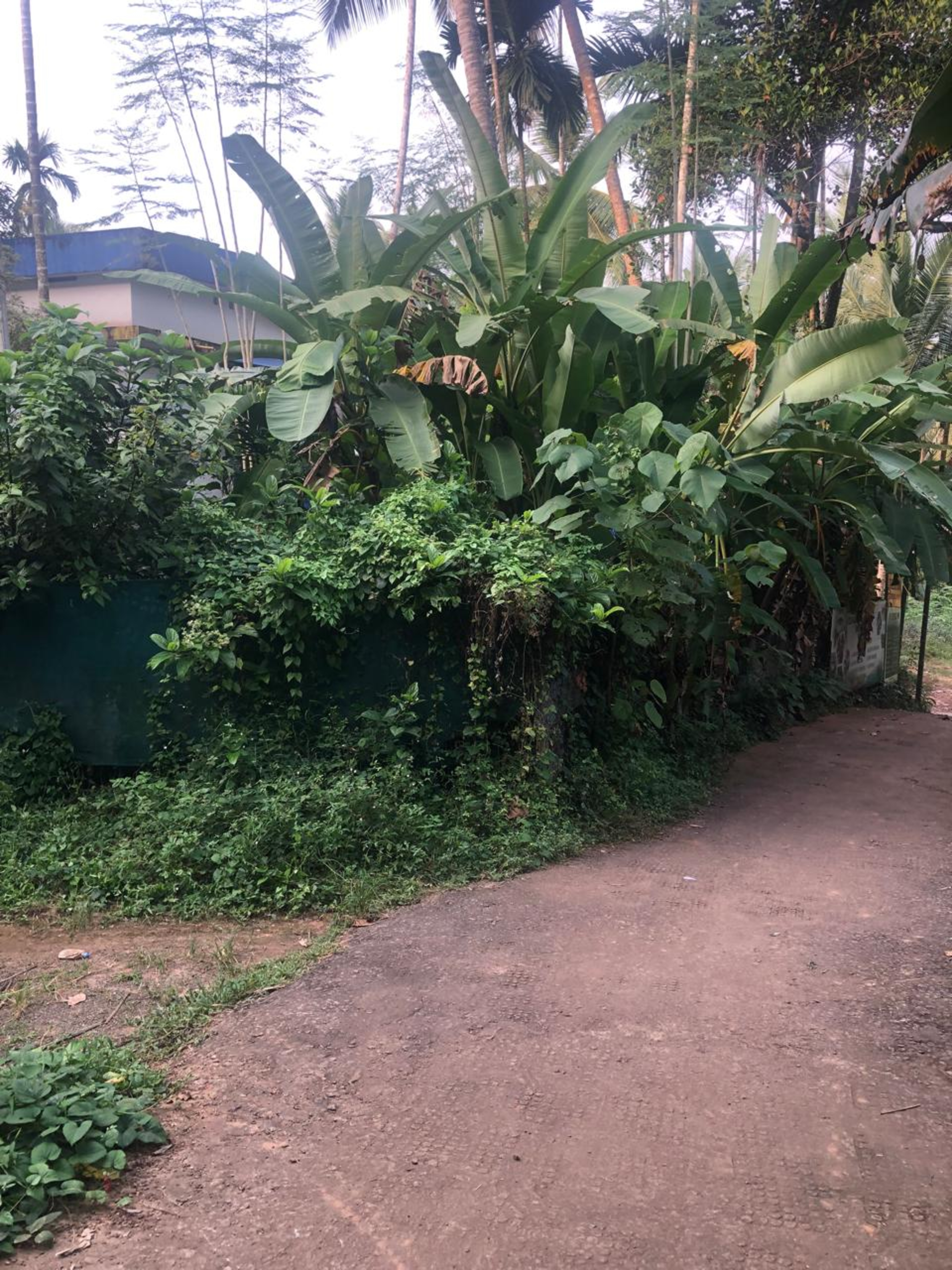 Punjab National Bank Auctions for Residential property in Kozhikode, Kerala image 4 of 7 in Eravattur, Kozhikode | Punjab National Bank auction property