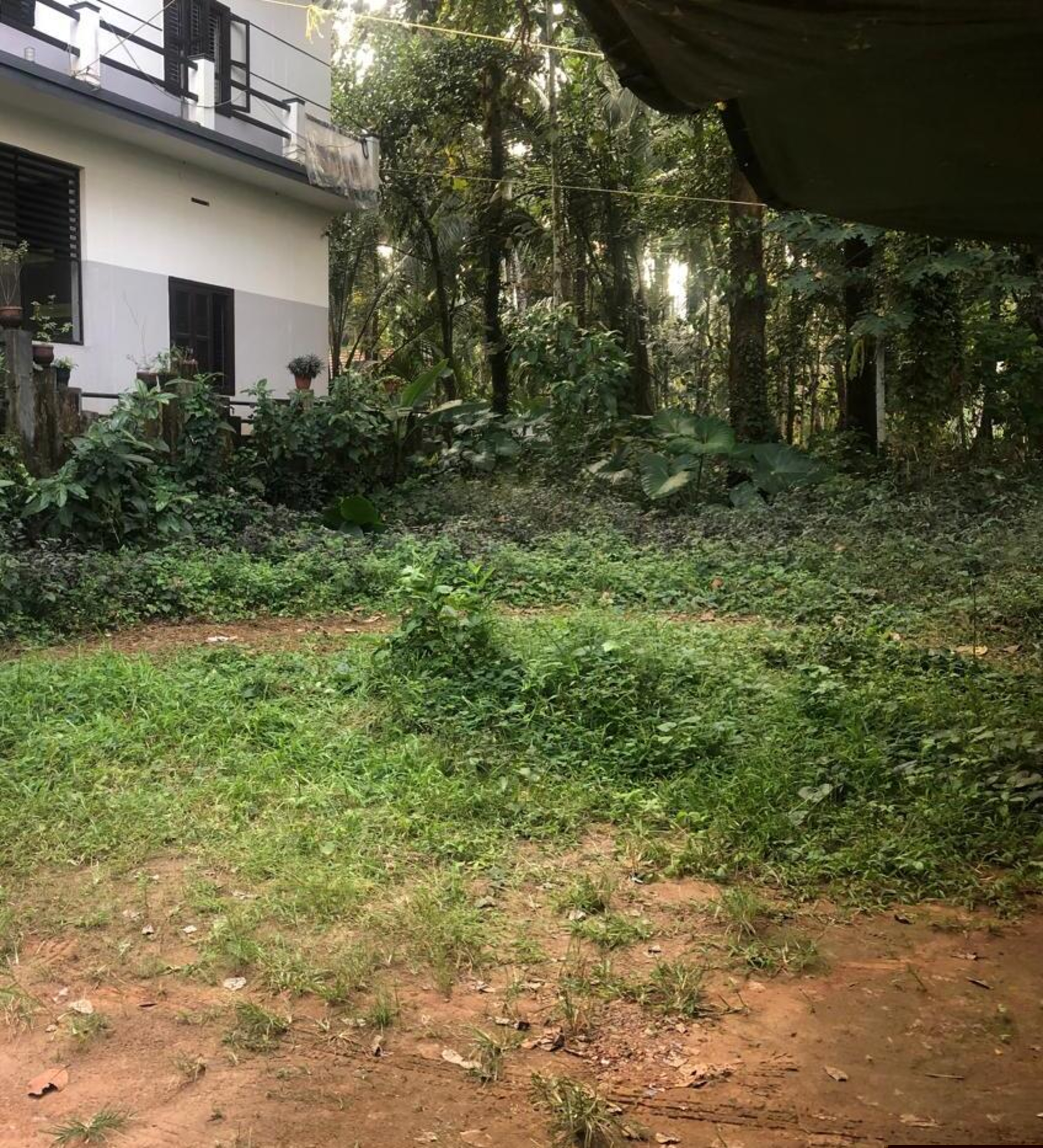 Punjab National Bank Auctions for Residential property in Kozhikode, Kerala image 6 of 7 in Eravattur, Kozhikode | Punjab National Bank auction property