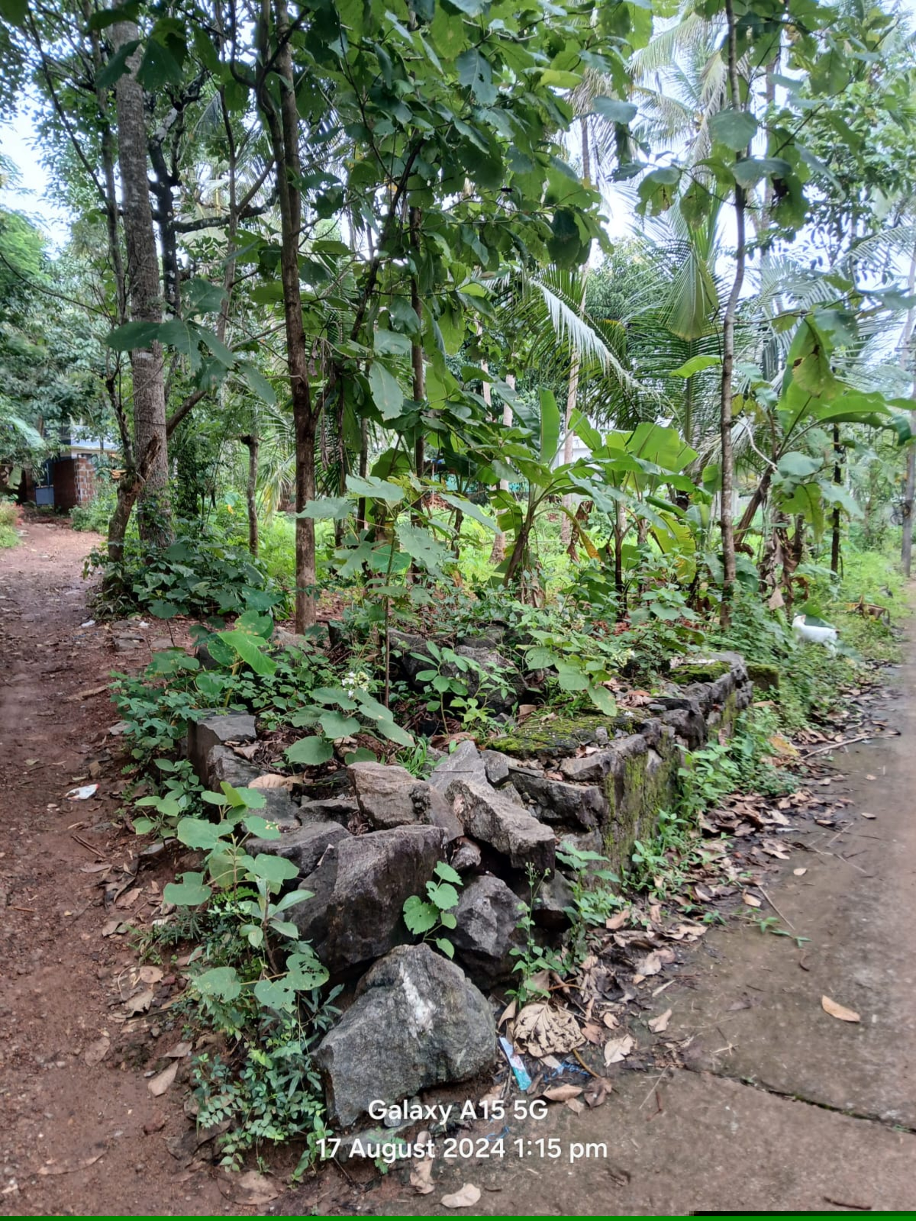 Punjab National Bank Auctions for Residential property in Malappuram, Kerala image 5 of 7 in Chelambra, Malappuram | Punjab National Bank auction property