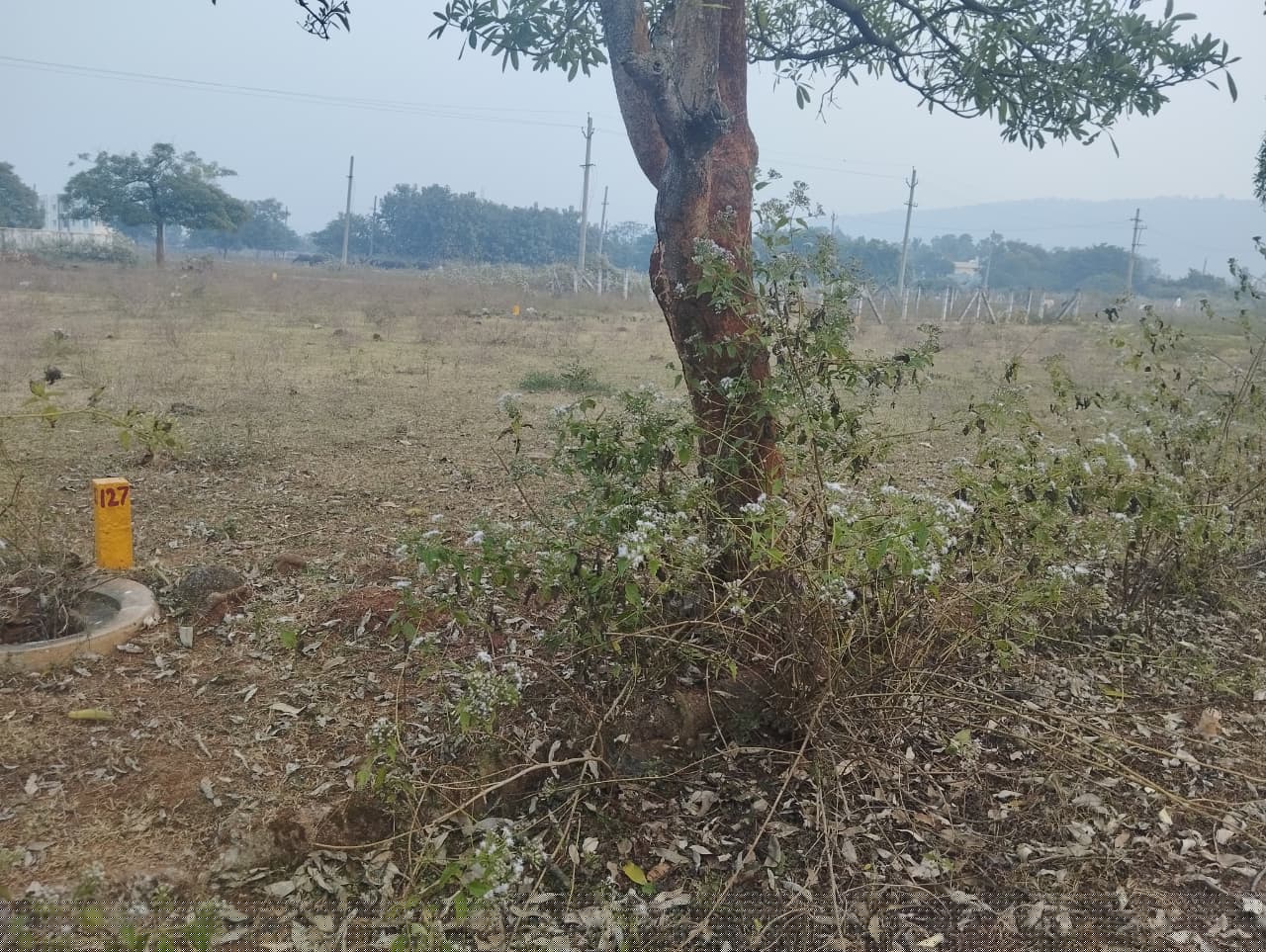 Canara Bank Auctions for Residential property in Visakhapatnam, Andhra Pradesh image 7 of 8 in Bheemunipatnam, Visakhapatnam | Canara Bank auction property
