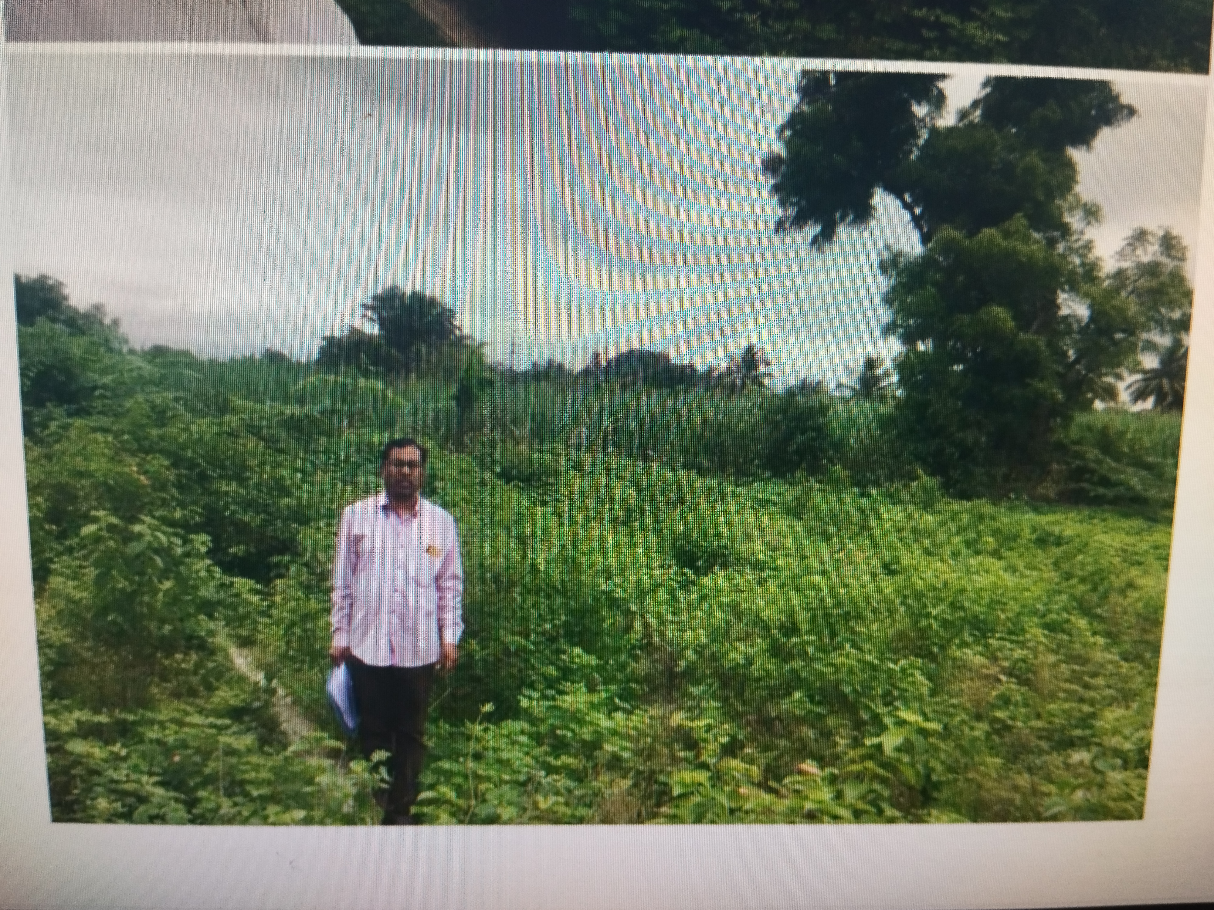 Bank of Maharashtra Auctions for Residential property in Sangli, Maharashtra image 2 of 2 in Sangli, Sangli | Bank of Maharashtra auction property