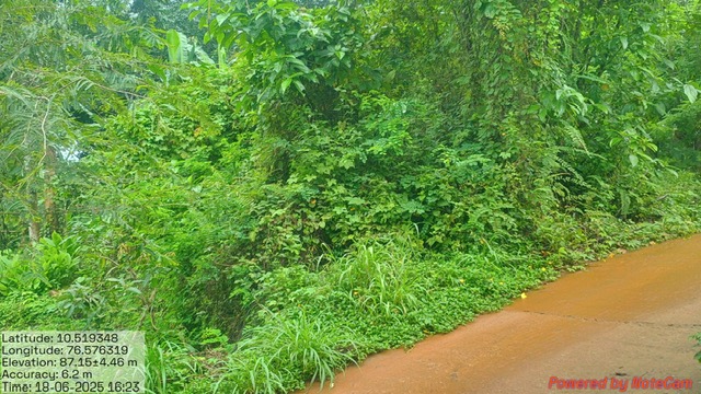 Canara Bank Auctions for Industrials property in Palakkad, Kerala image 2 of 4 in Palakkad, Palakkad | Canara Bank auction property