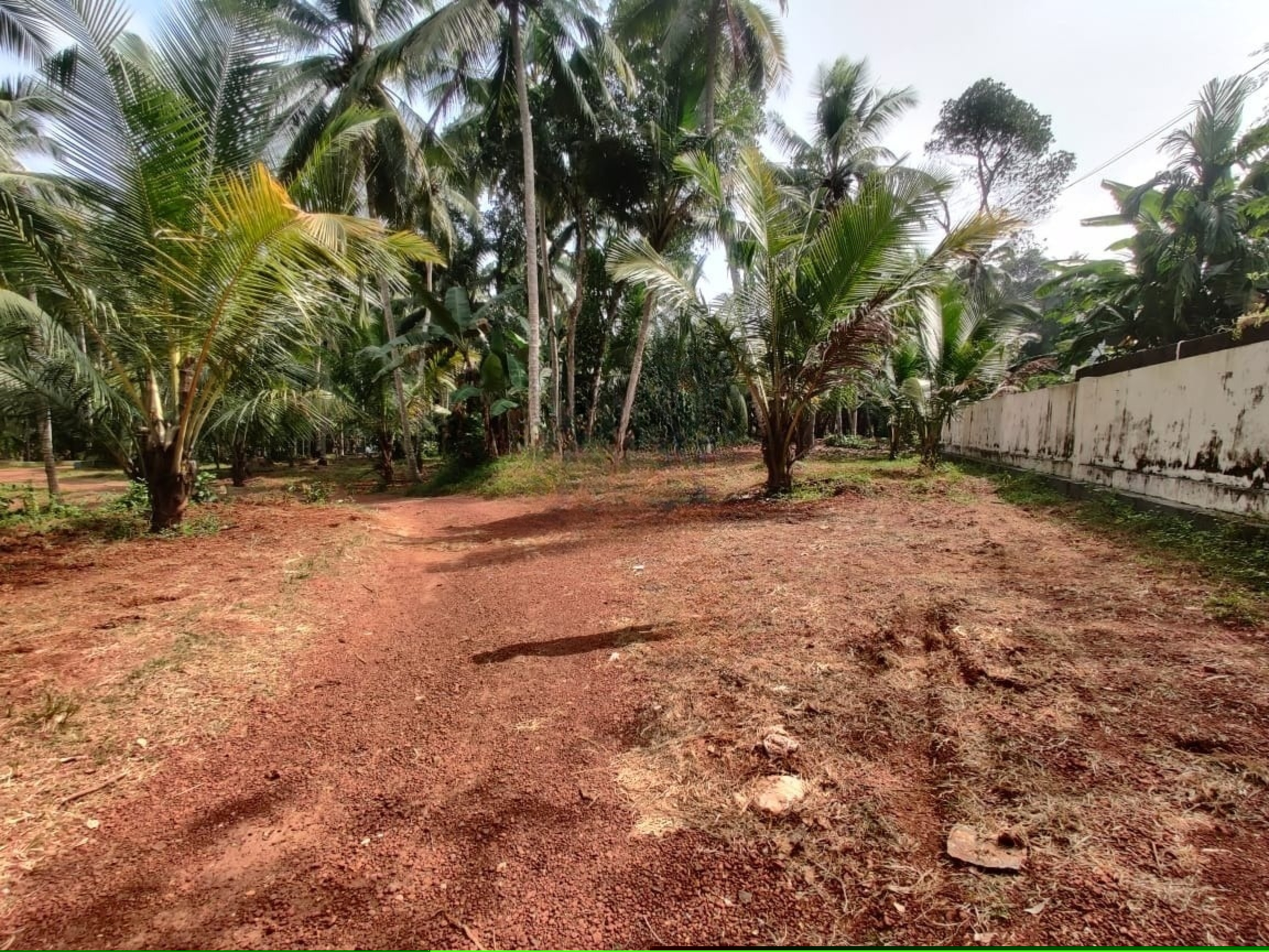 Punjab National Bank Auctions for Residential property in Malappuram, Kerala image 2 of 7 in Ariyallur, Malappuram | Punjab National Bank auction property