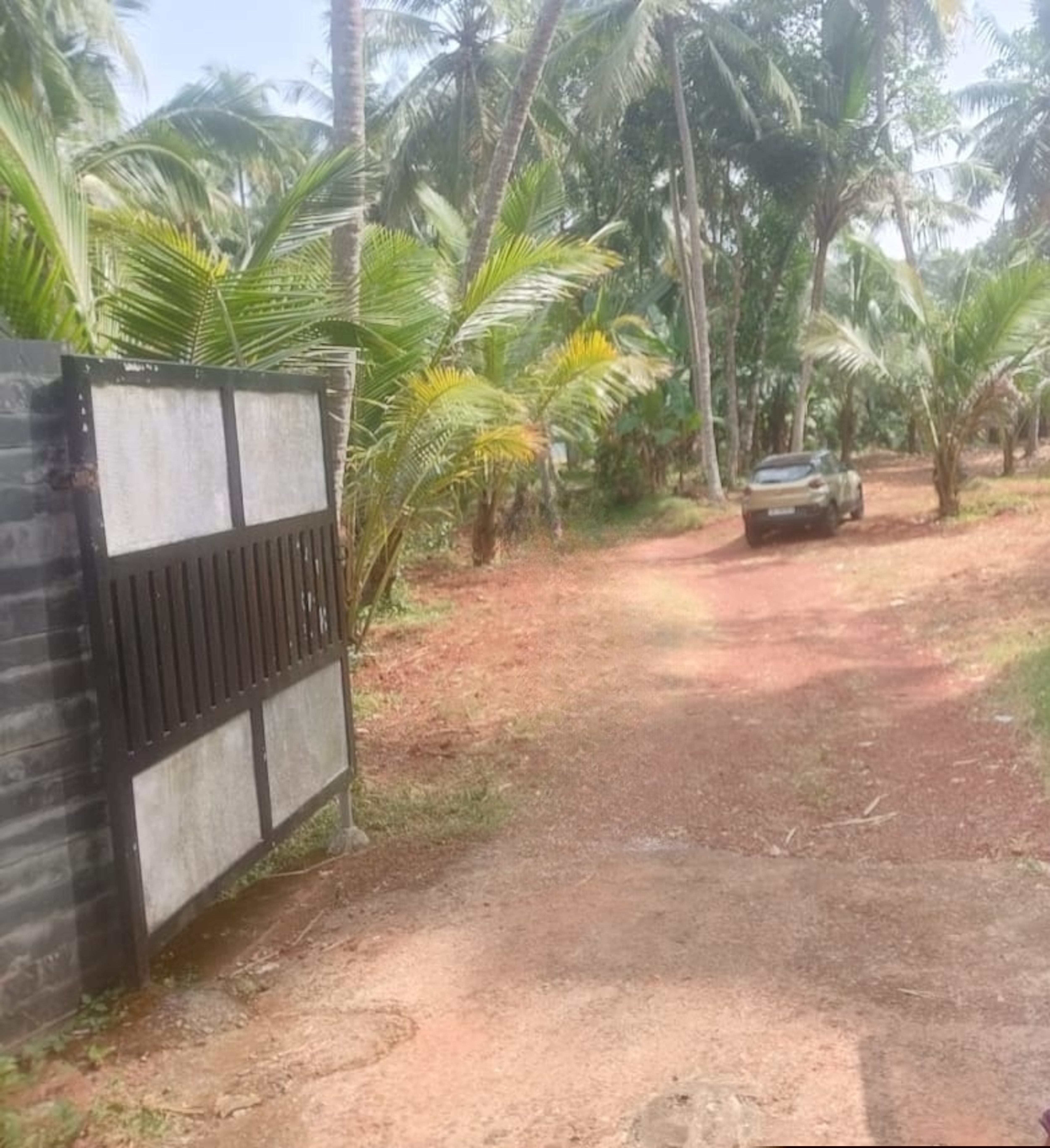 Punjab National Bank Auctions for Residential property in Malappuram, Kerala image 5 of 7 in Ariyallur, Malappuram | Punjab National Bank auction property