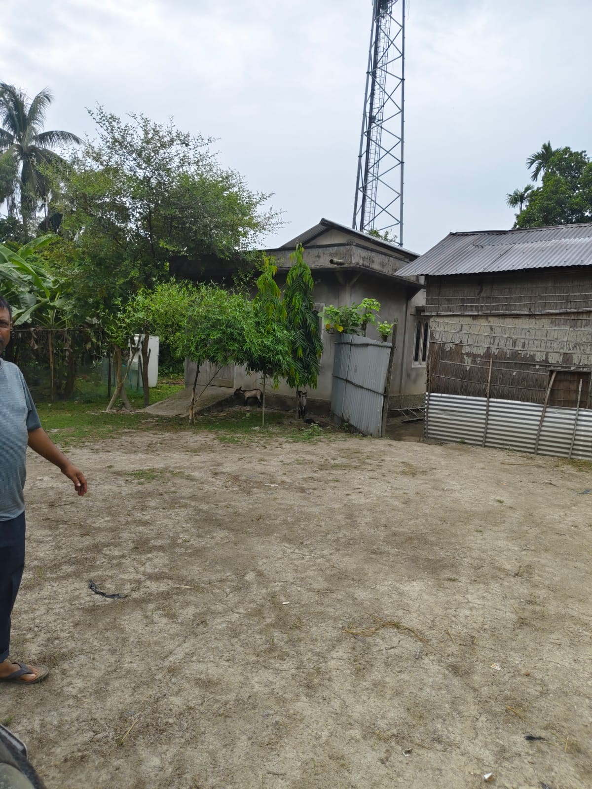 Punjab National Bank Auctions for Residential property in Nagaon, Assam image 7 of 7 in Dhing, Nagaon | Punjab National Bank auction property