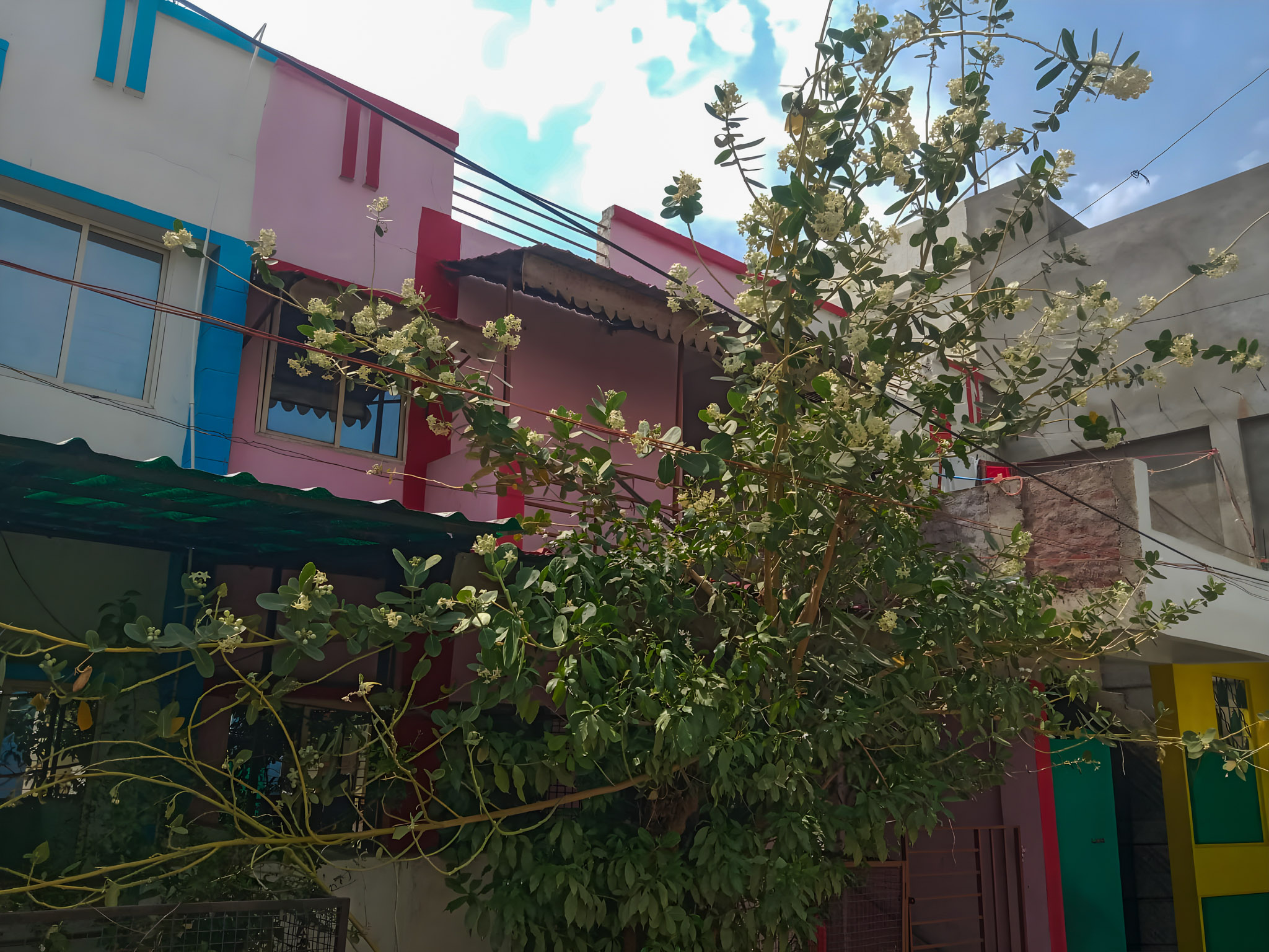 State Bank of India Auctions for Residential property in Bhopal, Madhya Pradesh image 9 of 15 in Bhopal, Bhopal | State Bank of India auction property