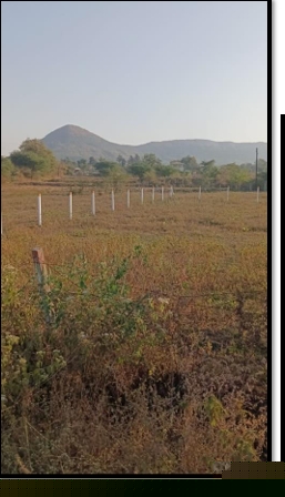 State Bank of India Auctions for Residential property in Nashik, Maharashtra image 4 of 5 in Nashik, Nashik | State Bank of India auction property