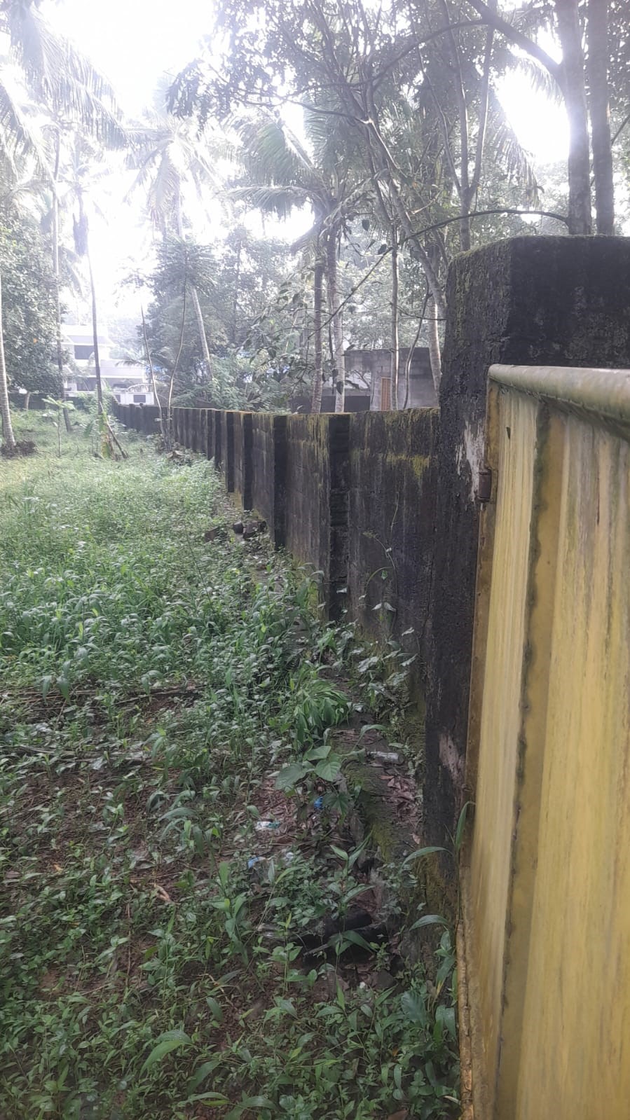 Punjab National Bank Auctions for Residential property in Trivandrum, Kerala image 10 of 13 in Thiruvananthapuram, Trivandrum | Punjab National Bank auction property