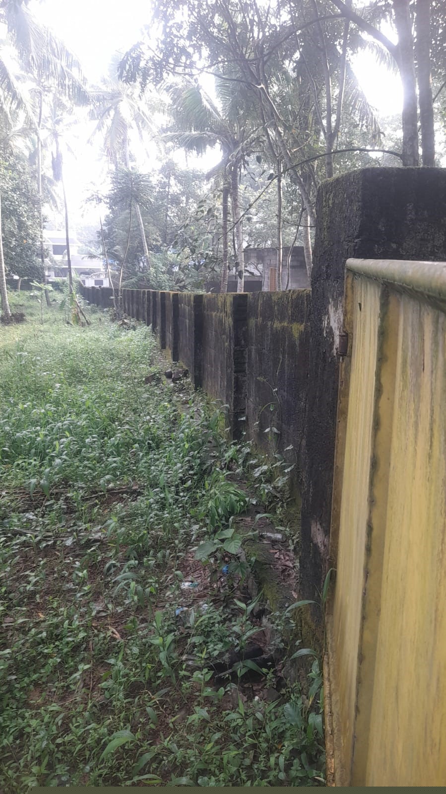 Punjab National Bank Auctions for Residential property in Trivandrum, Kerala image 11 of 13 in Thiruvananthapuram, Trivandrum | Punjab National Bank auction property