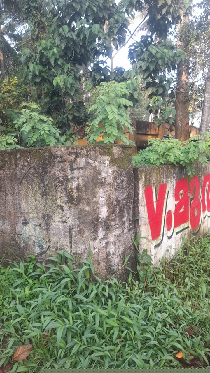 Punjab National Bank Auctions for Residential property in Trivandrum, Kerala image 3 of 13 in Thiruvananthapuram, Trivandrum | Punjab National Bank auction property