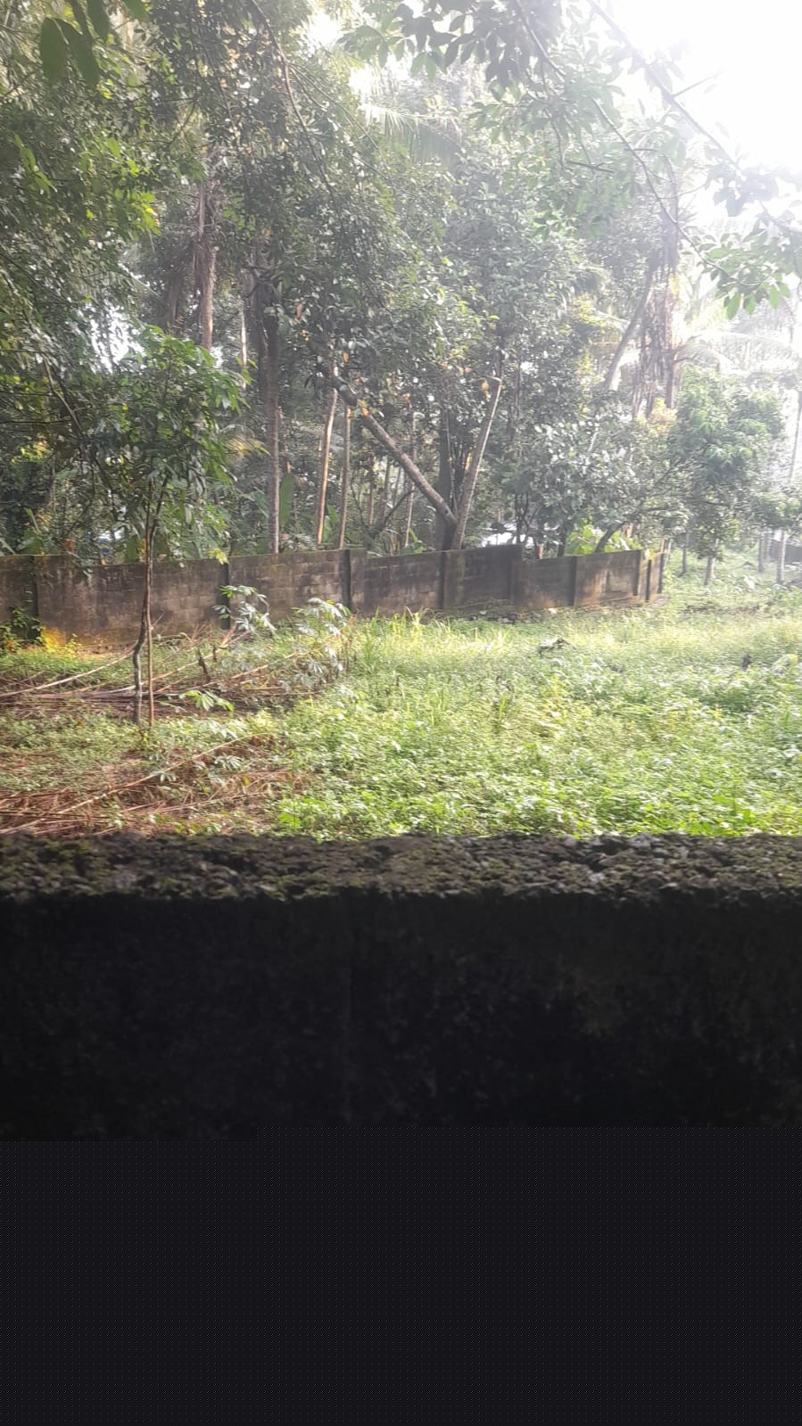 Punjab National Bank Auctions for Residential property in Trivandrum, Kerala image 7 of 13 in Thiruvananthapuram, Trivandrum | Punjab National Bank auction property