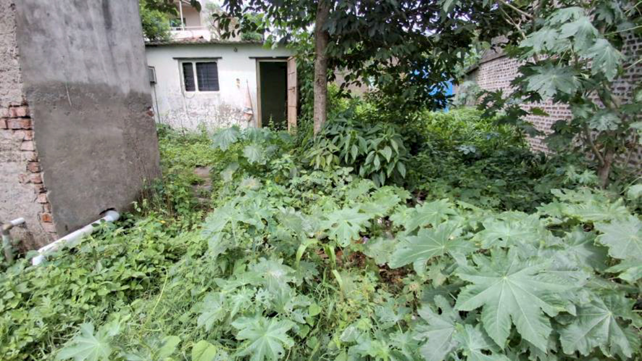 Bank of Baroda Auctions for Residential property in Kolhapur, Maharashtra image 13 of 13 in Ichalkaranji, Kolhapur | Bank of Baroda auction property