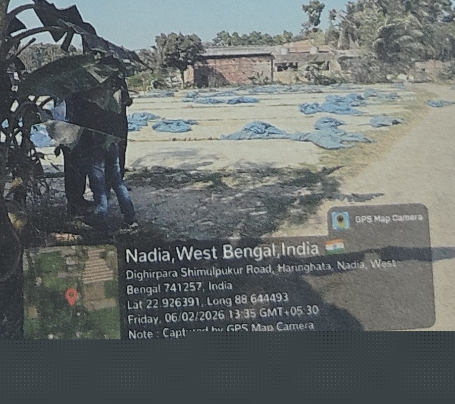Indian Bank Auctions for Residential property in Nadia, West Bengal image 2 of 2 in GOALDOBE, Nadia | Indian Bank auction property