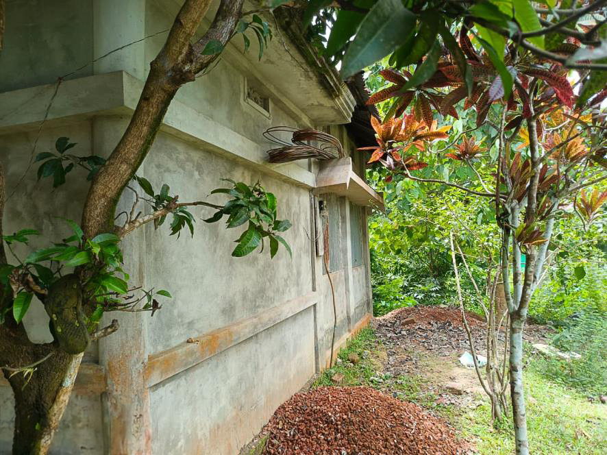 Punjab National Bank Auctions for Residential property in South Tripura, Tripura image 4 of 9 in Santirbazar, South Tripura | Punjab National Bank auction property