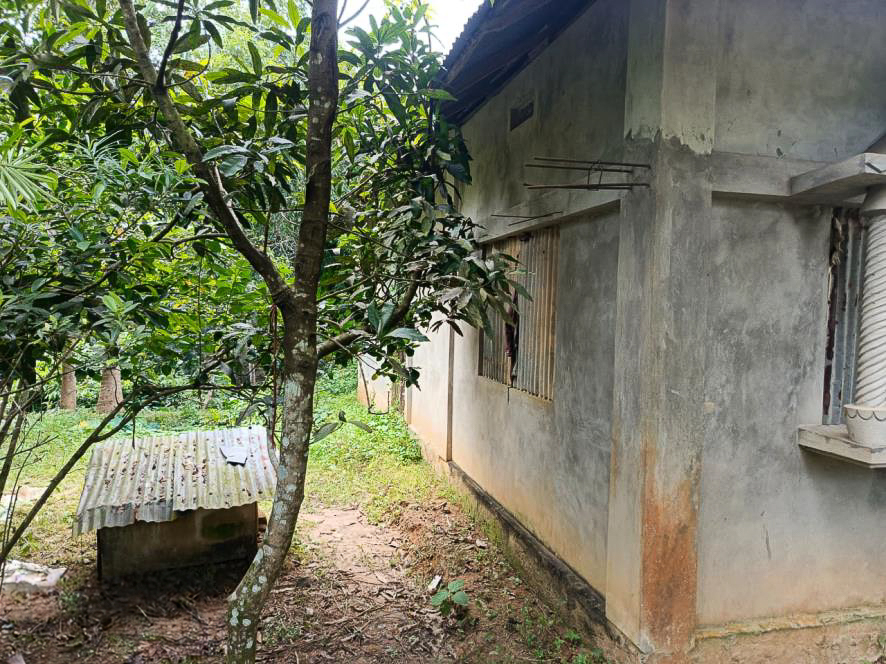 Punjab National Bank Auctions for Residential property in South Tripura, Tripura image 9 of 9 in Santirbazar, South Tripura | Punjab National Bank auction property