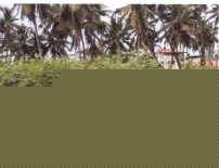 Bank of Baroda Auctions for Residential property in Dakshina Kannada, Karnataka image 3 of 4 in Mangaluru, Dakshina Kannada | Bank of Baroda auction property