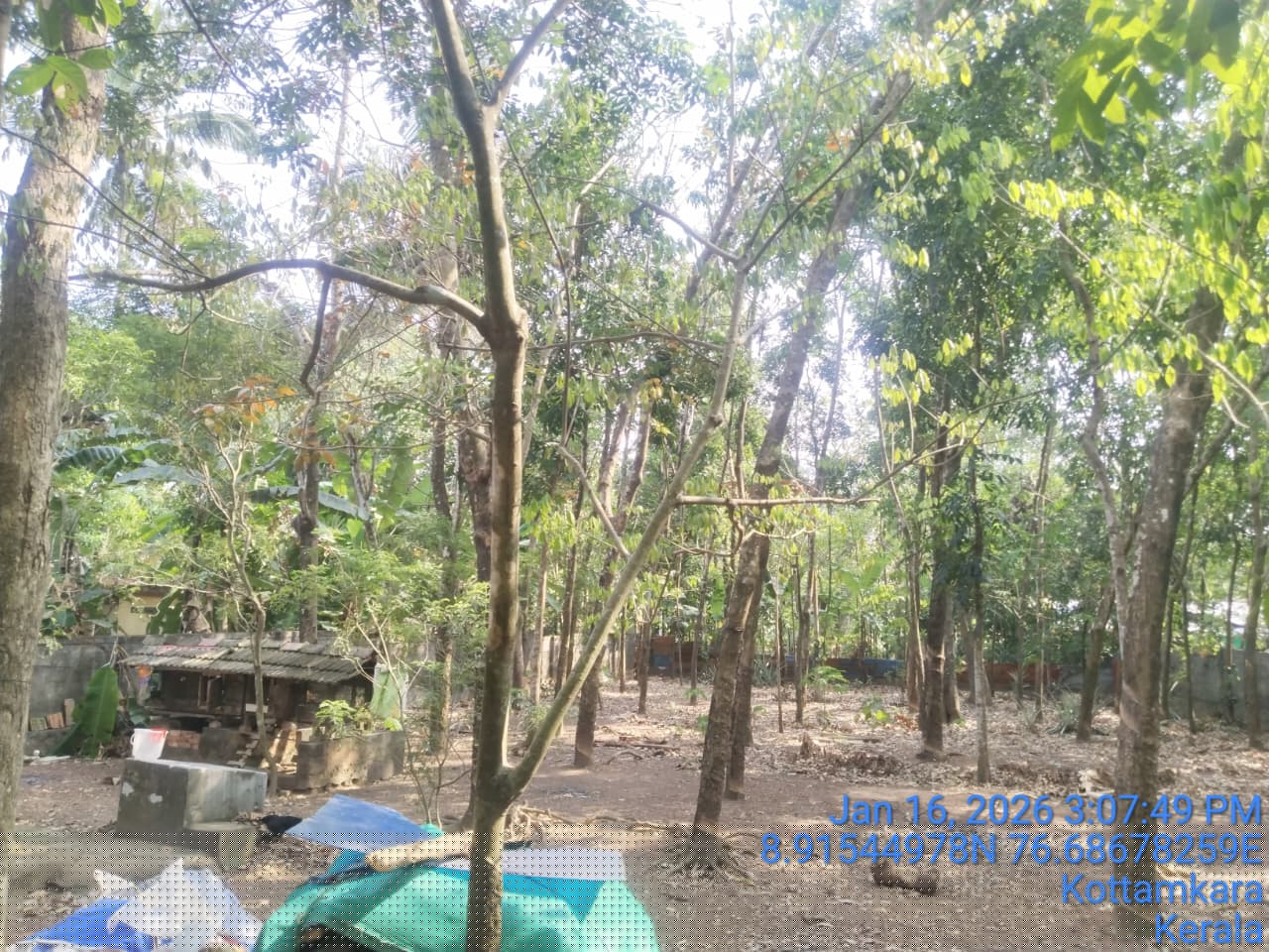 Bank of India Auctions for Residential property in Kollam, Kerala image 3 of 5 in UMMANOOR, Kollam | Bank of India auction property