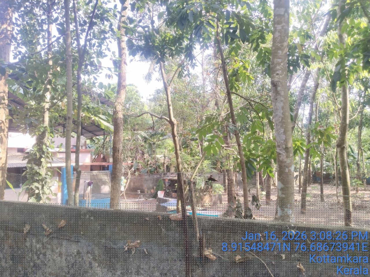 Bank of India Auctions for Residential property in Kollam, Kerala image 4 of 5 in UMMANOOR, Kollam | Bank of India auction property