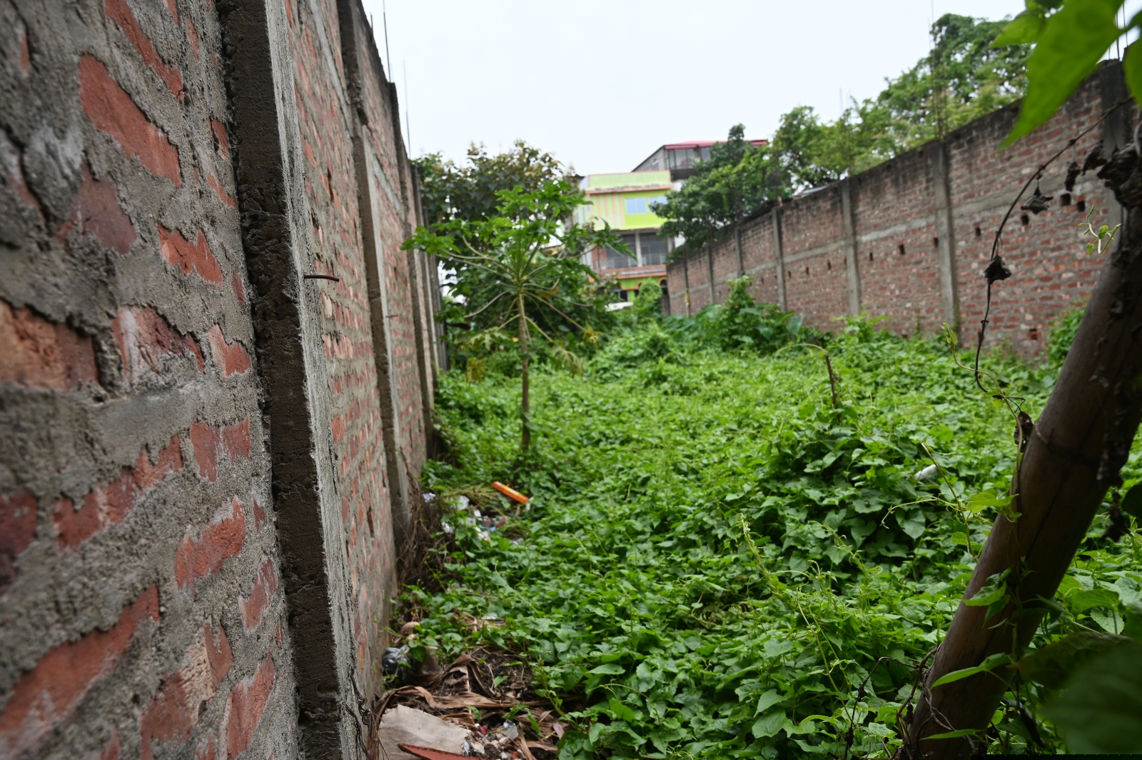 Bank of Baroda Auctions for Residential property in Nagaon, Assam image 7 of 9 in Nagaon, Nagaon | Bank of Baroda auction property