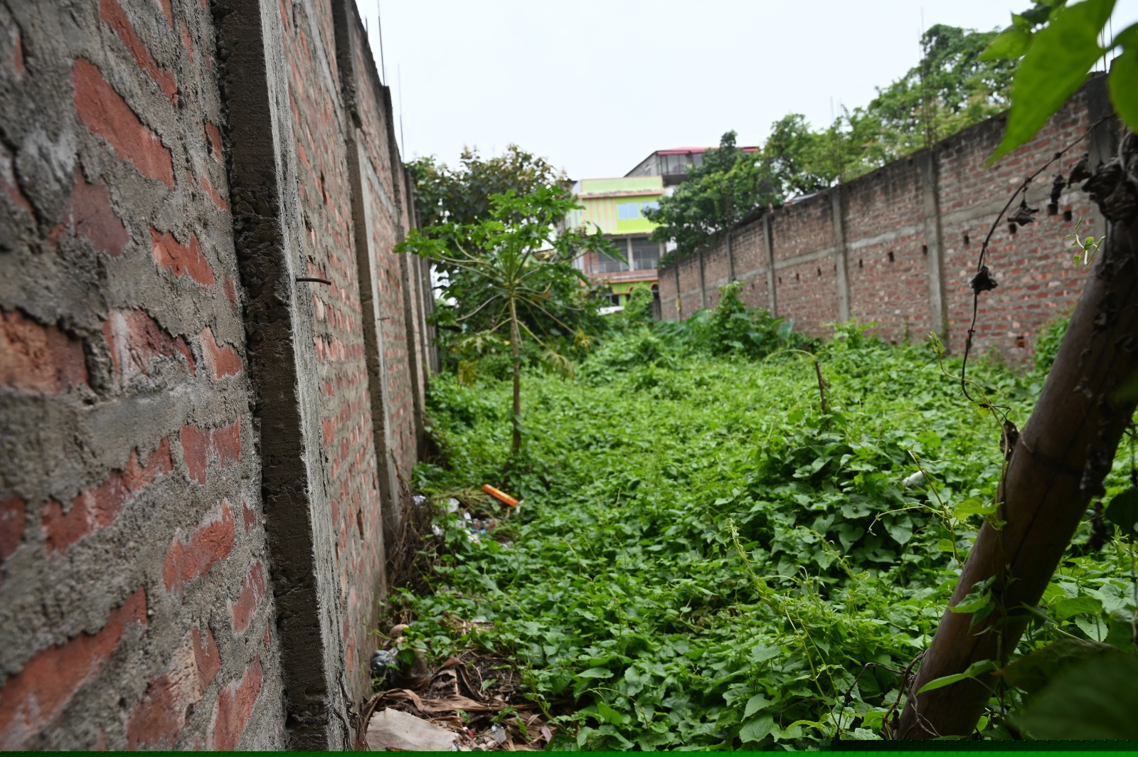 Bank of Baroda Auctions for Residential property in Nagaon, Assam image 8 of 9 in Nagaon, Nagaon | Bank of Baroda auction property