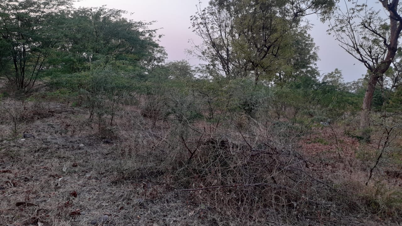 RAJ RADHE FINANCE LIMITED Auctions for Residential property in Kheda, Gujarat image 2 of 3 in Dakor, Kheda | RAJ RADHE FINANCE LIMITED auction property