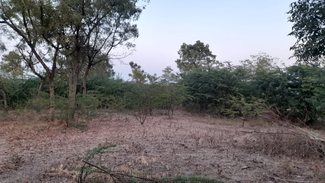 RAJ RADHE FINANCE LIMITED Auctions for Residential property in Kheda, Gujarat image 3 of 3 in Dakor, Kheda | RAJ RADHE FINANCE LIMITED auction property