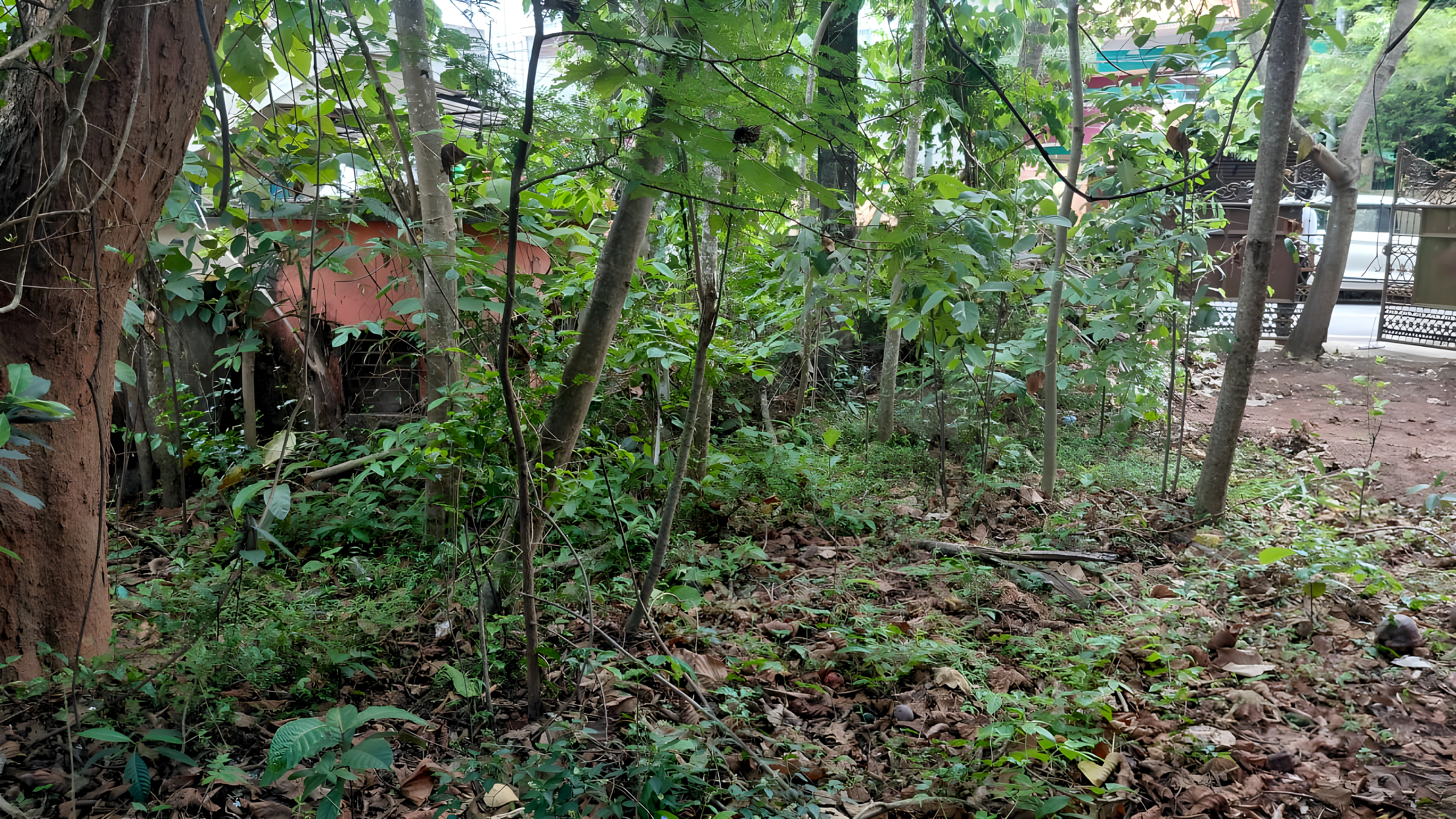 Bank of India Auctions for Residential property in Trivandrum, Kerala image 25 of 25 in Thiruvananthapuram, Trivandrum | Bank of India auction property