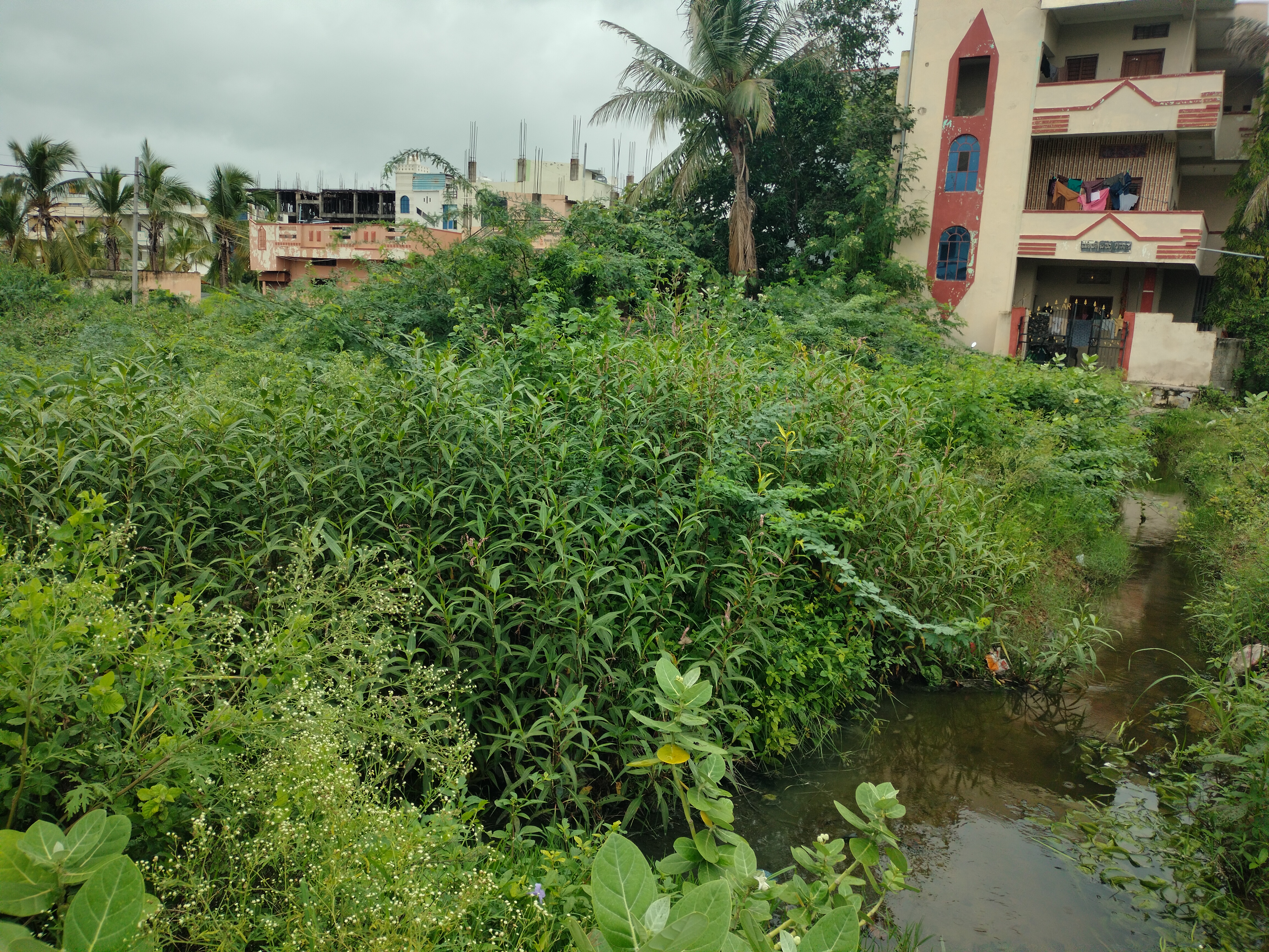 Bank of Maharashtra Auctions for Residential property in Yadgir, Karnataka image 3 of 4 in Yadgir, Yadgir | Bank of Maharashtra auction property