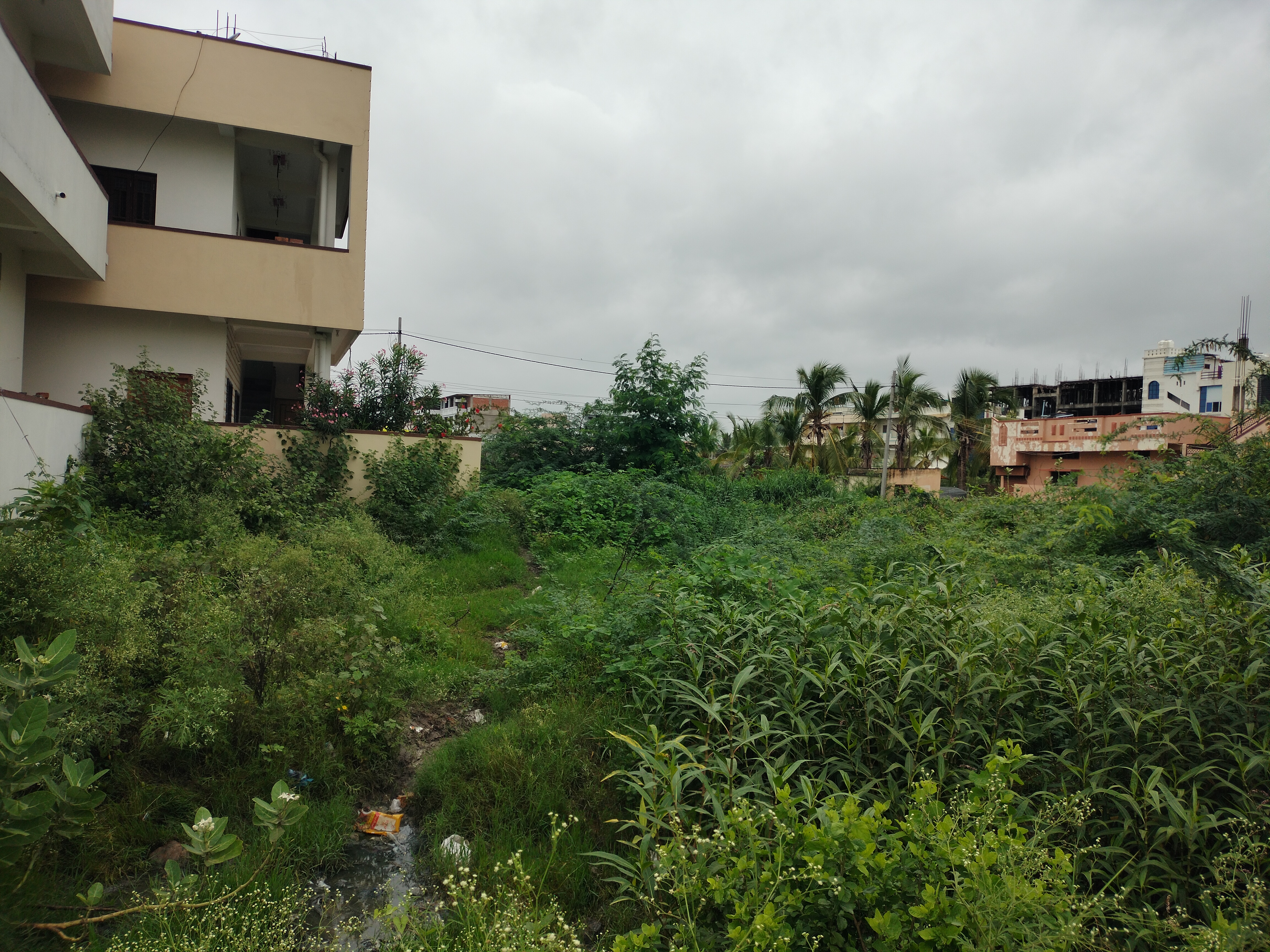 Bank of Maharashtra Auctions for Residential property in Yadgir, Karnataka image 4 of 4 in Yadgir, Yadgir | Bank of Maharashtra auction property