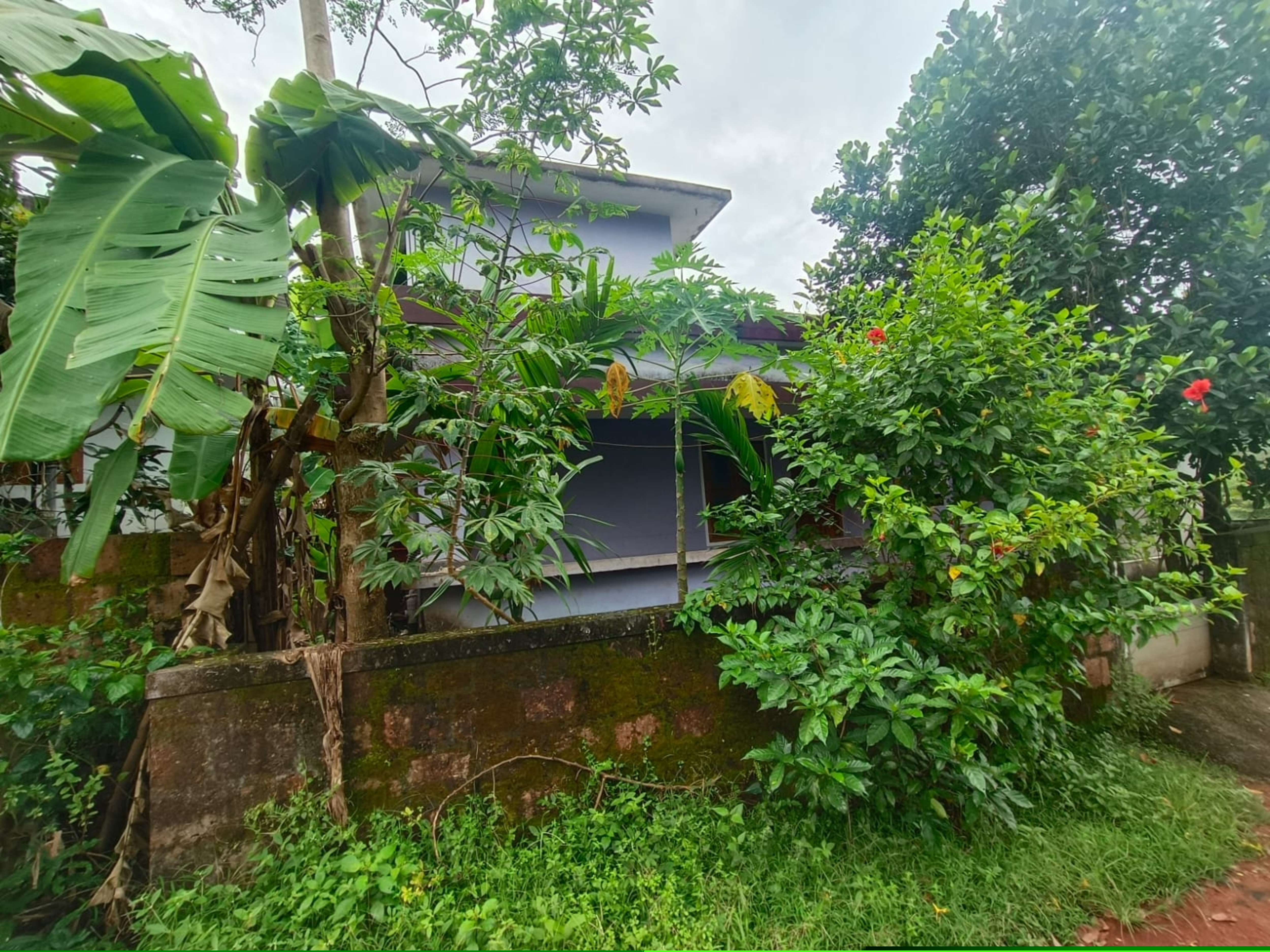 Punjab National Bank Auctions for Residential property in Kannur, Kerala image 6 of 7 in Kurumathur, Kannur | Punjab National Bank auction property
