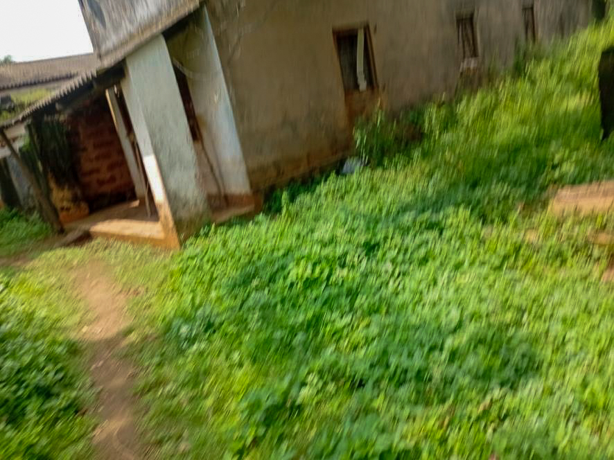 Punjab National Bank Auctions for Residential property in Cuttack, Odisha image 16 of 25 in Cuttack, Cuttack | Punjab National Bank auction property