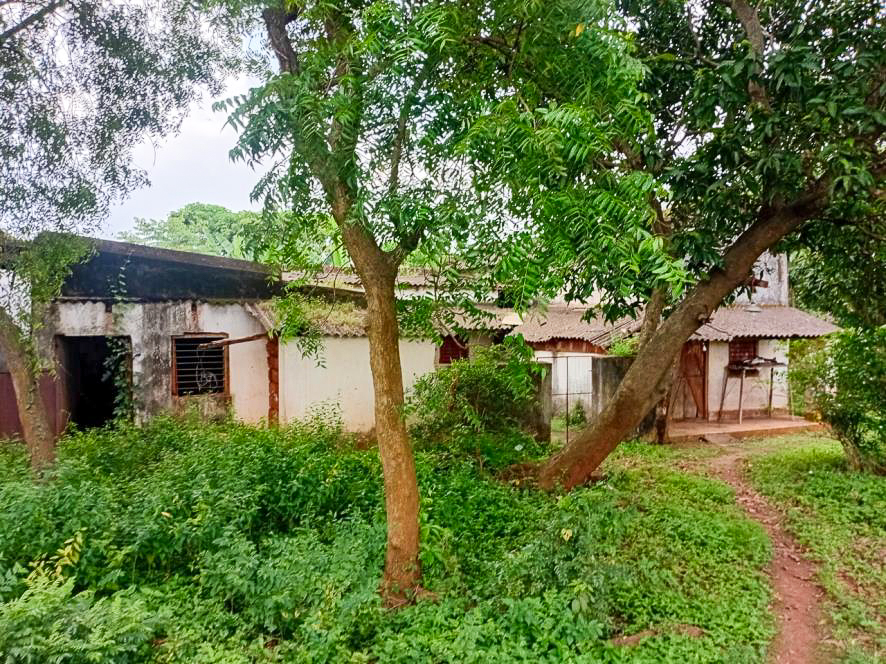Punjab National Bank Auctions for Residential property in Cuttack, Odisha image 22 of 25 in Cuttack, Cuttack | Punjab National Bank auction property