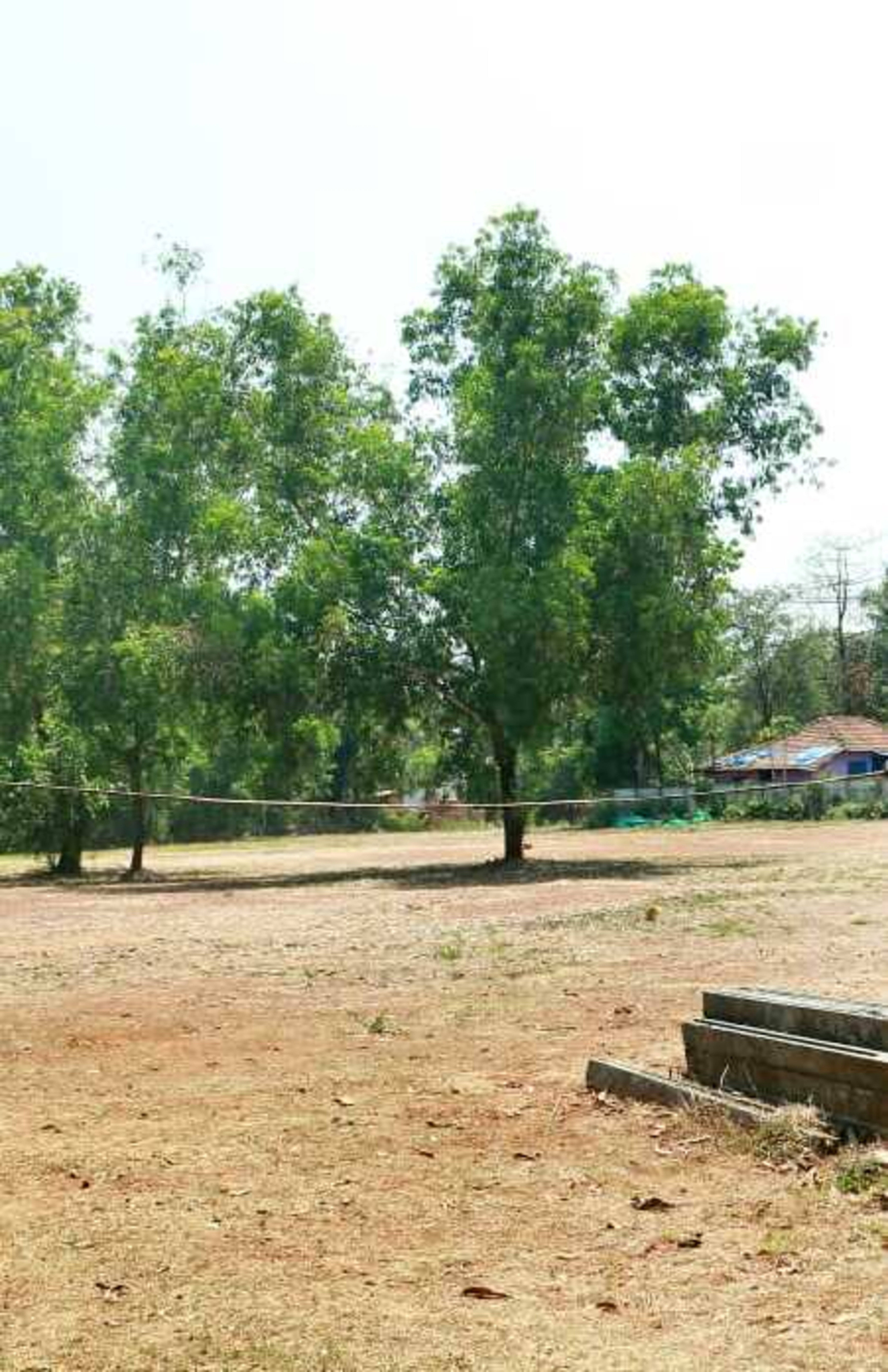 Punjab National Bank Auctions for Residential property in Kannur, Kerala image 3 of 7 in Anthoor, Kannur | Punjab National Bank auction property