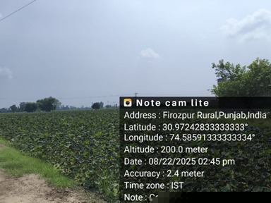 Punjab National Bank Auctions for Residential property in Ferozepur, Punjab image 2 of 4 in Ferozepur, Ferozepur | Punjab National Bank auction property