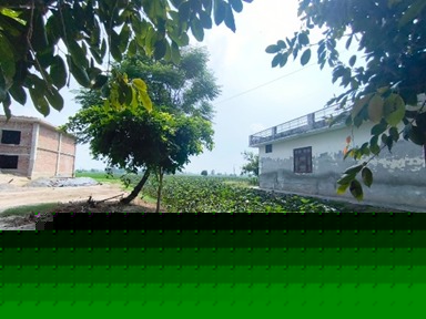 Punjab National Bank Auctions for Residential property in Ferozepur, Punjab image 4 of 4 in Ferozepur, Ferozepur | Punjab National Bank auction property