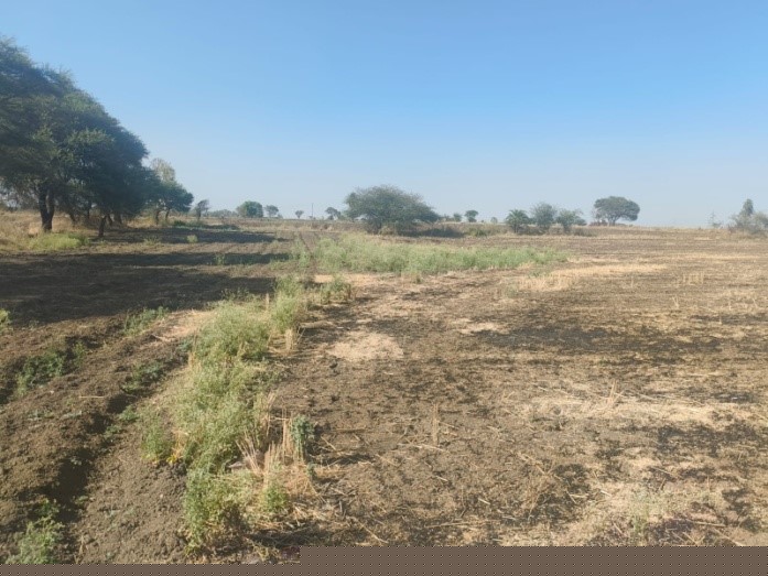 Bank of India Auctions for Residential property in Ratlam, Madhya Pradesh image 4 of 4 in Namkeen & Allied Food Cluster Karmadi, Ratlam | Bank of India auction property