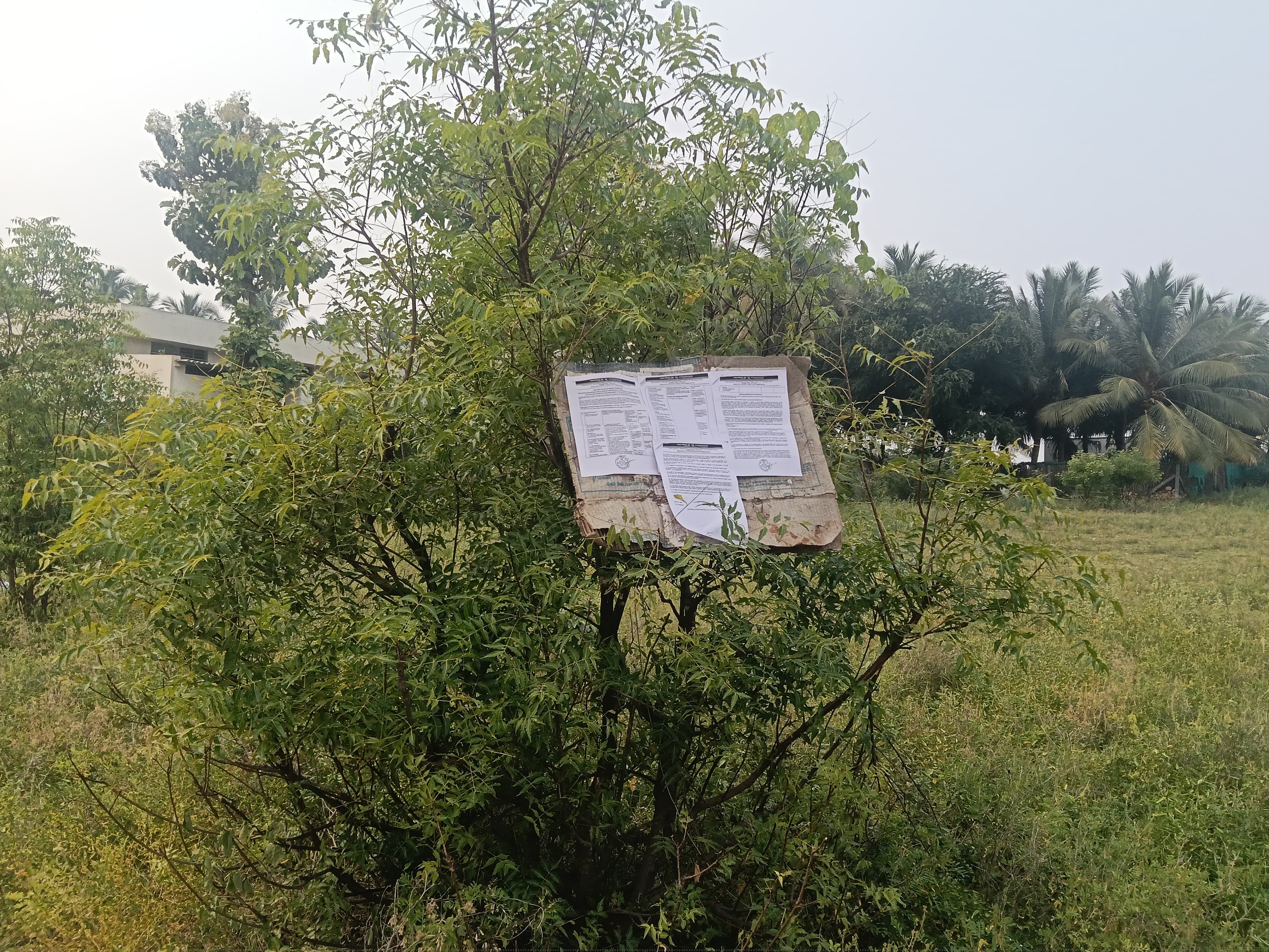 Punjab National Bank Auctions for Residential property in Tiruppur, Tamil Nadu image 11 of 19 in Tiruppur, Tiruppur | Punjab National Bank auction property