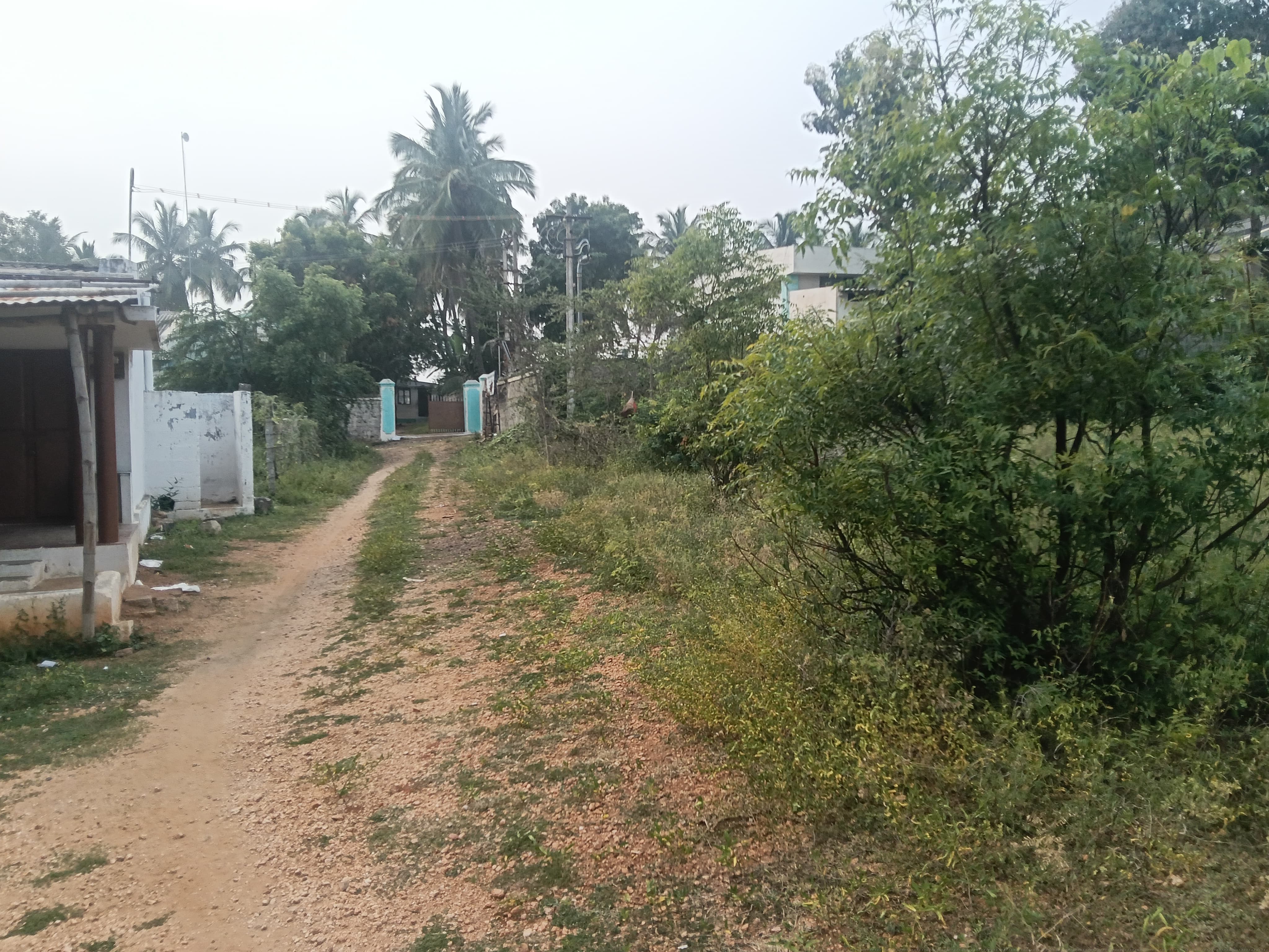 Punjab National Bank Auctions for Residential property in Tiruppur, Tamil Nadu image 14 of 19 in Tiruppur, Tiruppur | Punjab National Bank auction property