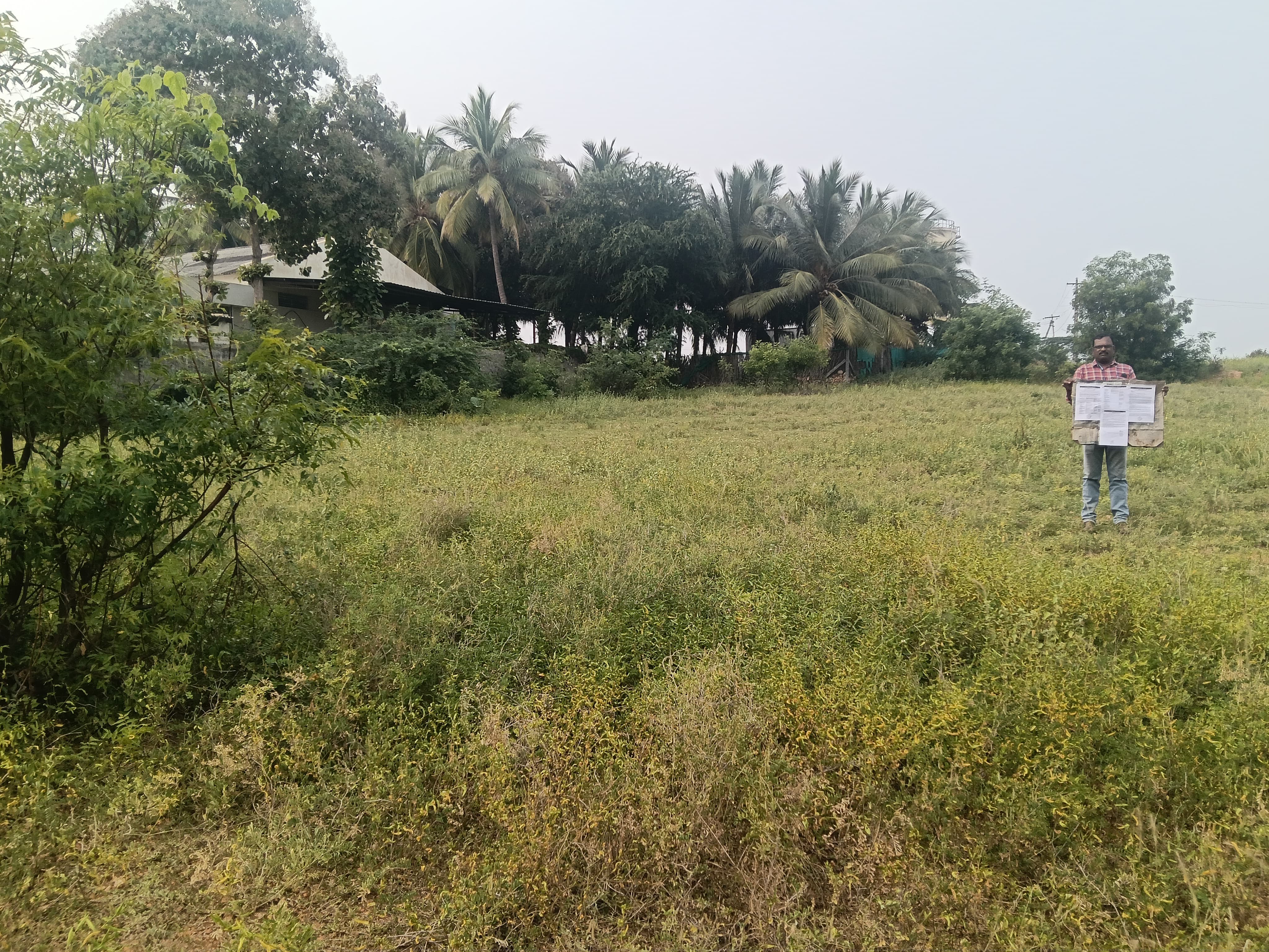 Punjab National Bank Auctions for Residential property in Tiruppur, Tamil Nadu image 15 of 19 in Tiruppur, Tiruppur | Punjab National Bank auction property