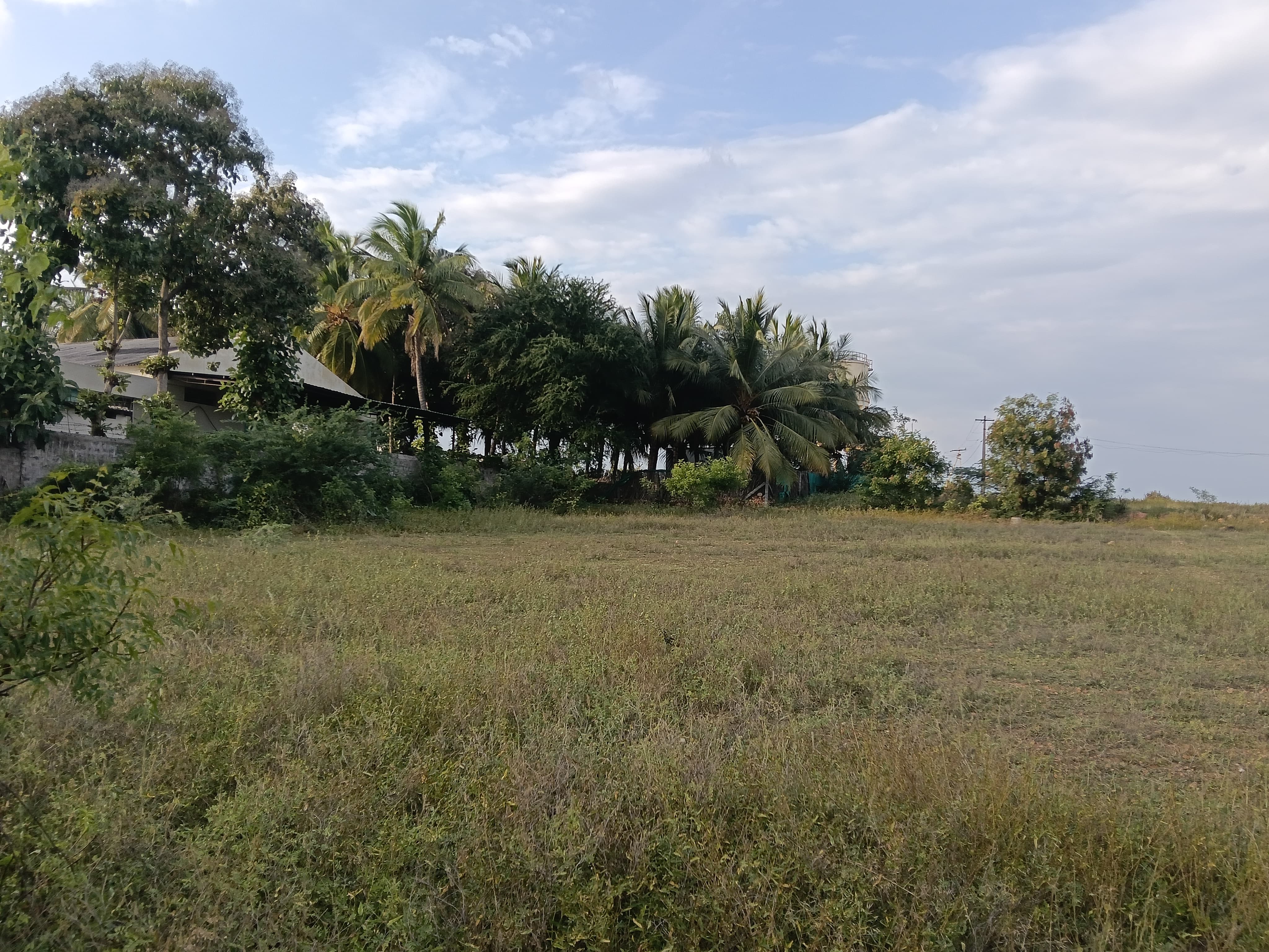 Punjab National Bank Auctions for Residential property in Tiruppur, Tamil Nadu image 6 of 19 in Tiruppur, Tiruppur | Punjab National Bank auction property