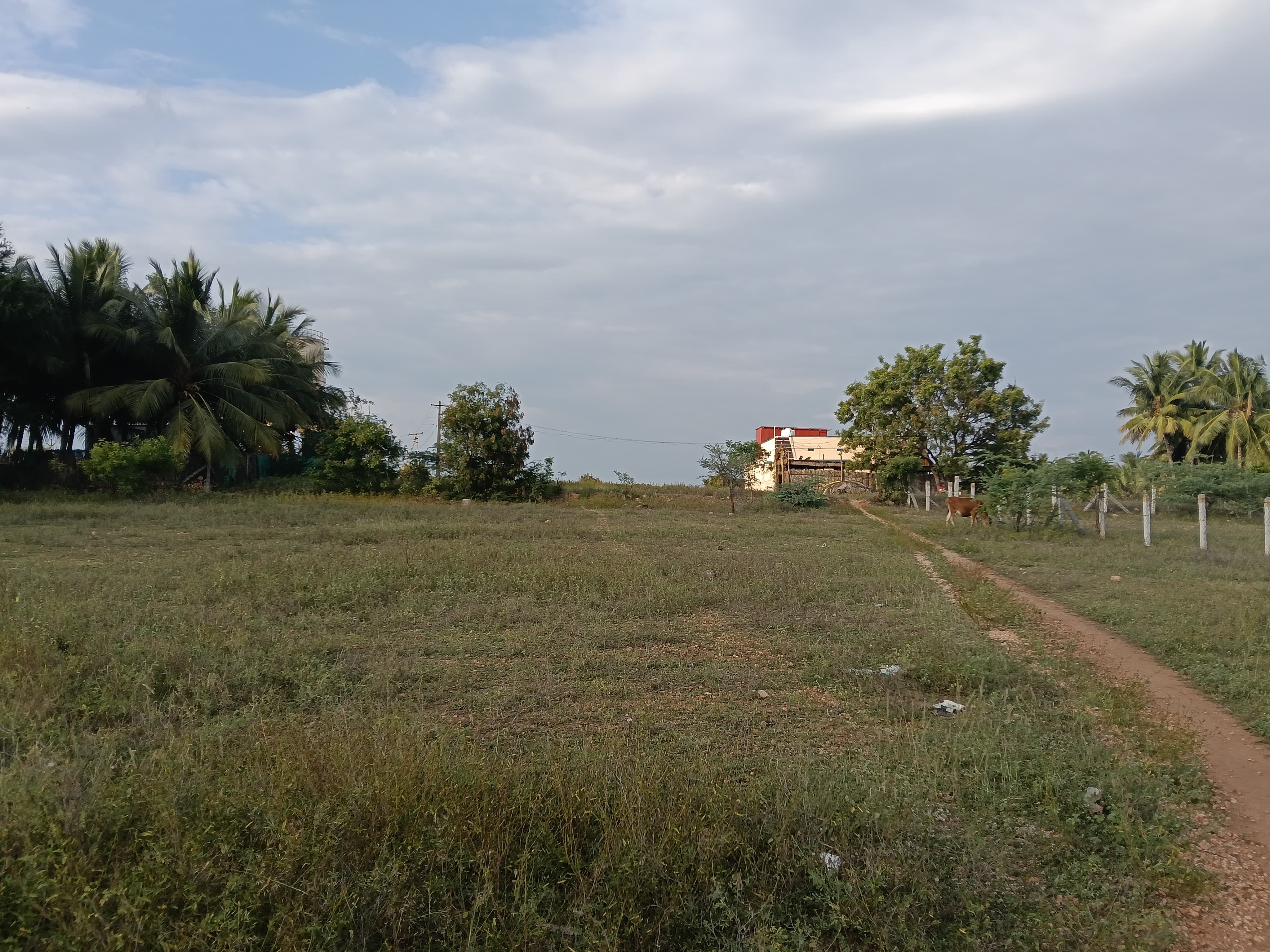 Punjab National Bank Auctions for Residential property in Tiruppur, Tamil Nadu image 7 of 19 in Tiruppur, Tiruppur | Punjab National Bank auction property
