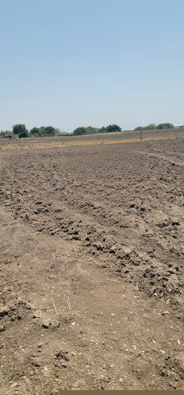 Union Bank of India Auctions for Commercial property in Rajkot, Gujarat image 3 of 3 in Anandpar, Rajkot | Union Bank of India auction property