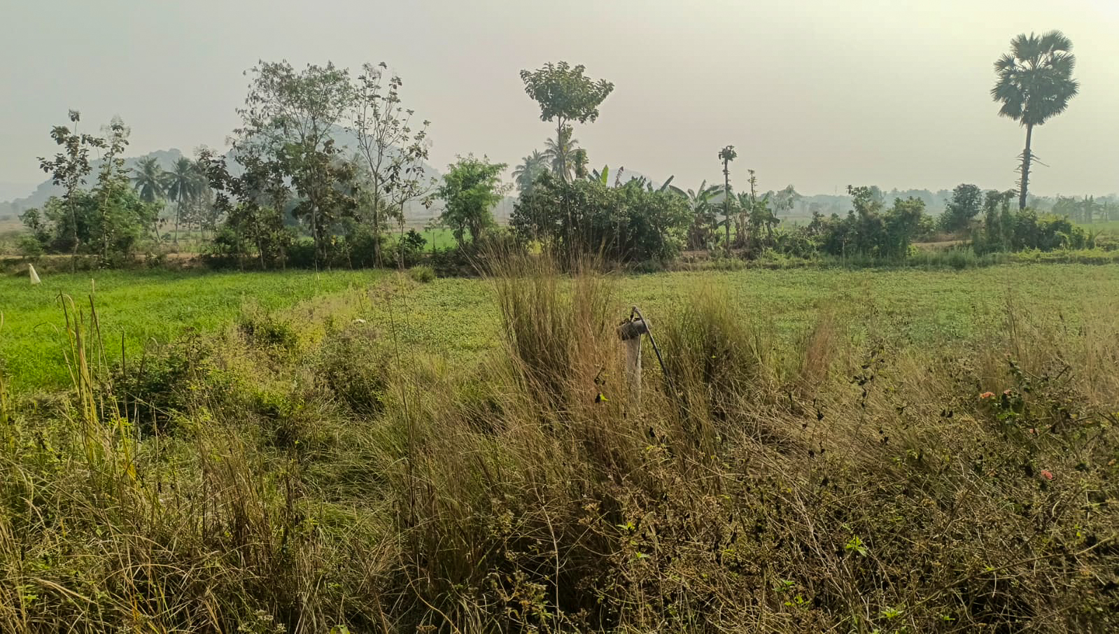 State Bank of India Auctions for Industrials property in Srikakulam, Andhra Pradesh image 12 of 19 in Kotabammal, Srikakulam | State Bank of India auction property
