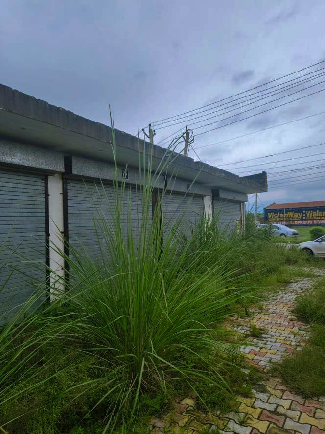Punjab National Bank Auctions for Commercial property in Karnal, Haryana image 5 of 9 in Karnal, Karnal | Punjab National Bank auction property