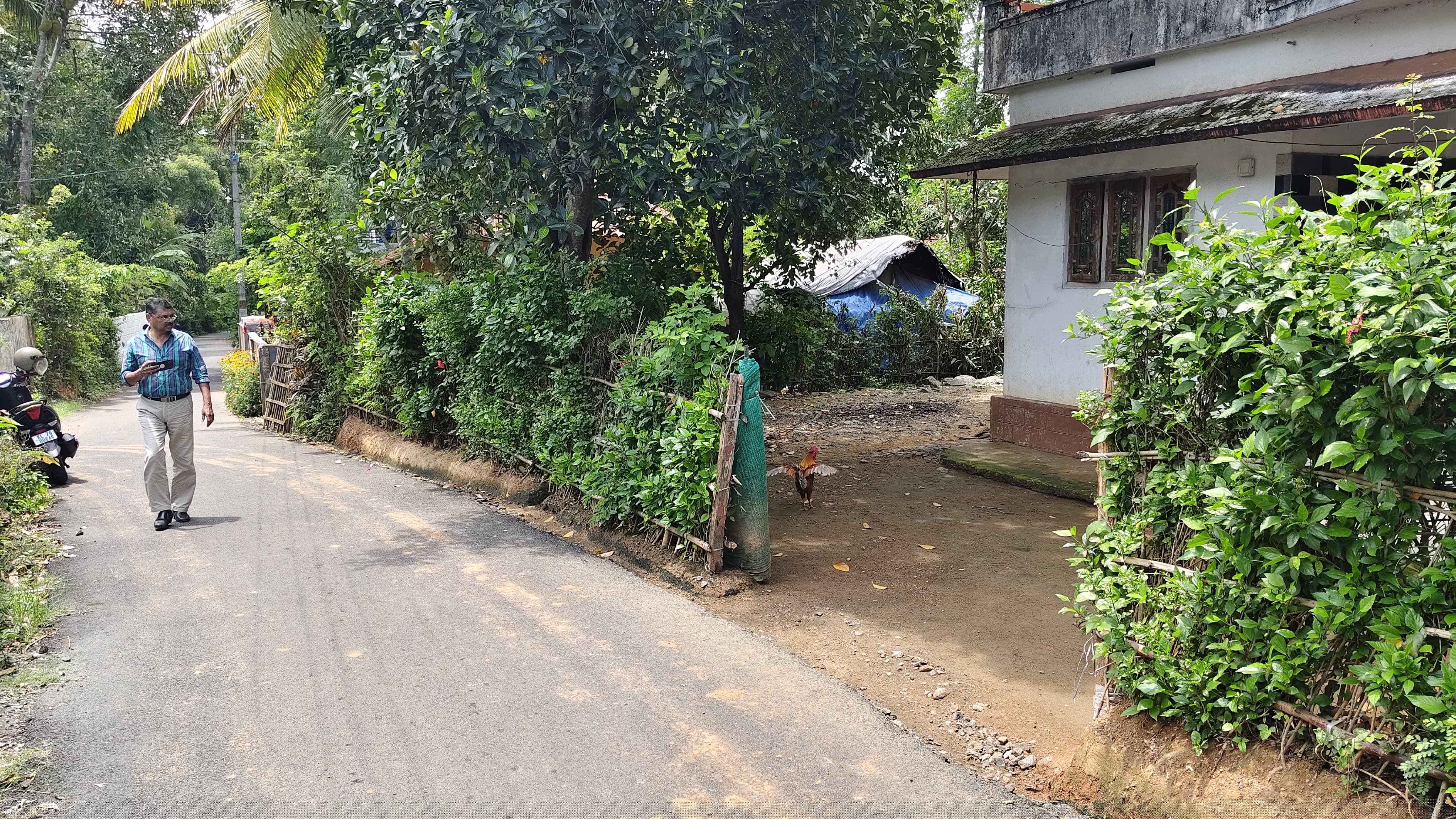 Indian Bank Auctions for Residential property in Palakkad, Kerala image 3 of 4 in Palakkad, Palakkad | Indian Bank auction property