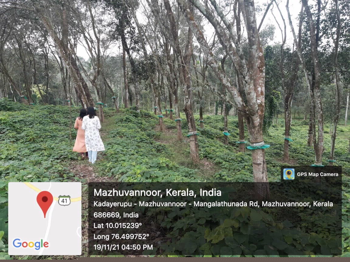 Union Bank of India Auctions for Residential property in Ernakulam, Kerala image 2 of 3 in KINFRA Small Industries Park Mazhuvannur, Ernakulam | Union Bank of India auction property